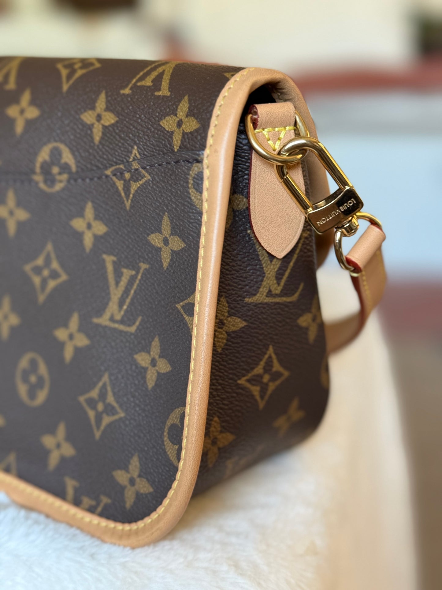 Louis Vuitton Diane Mono with Shoulder Strap
