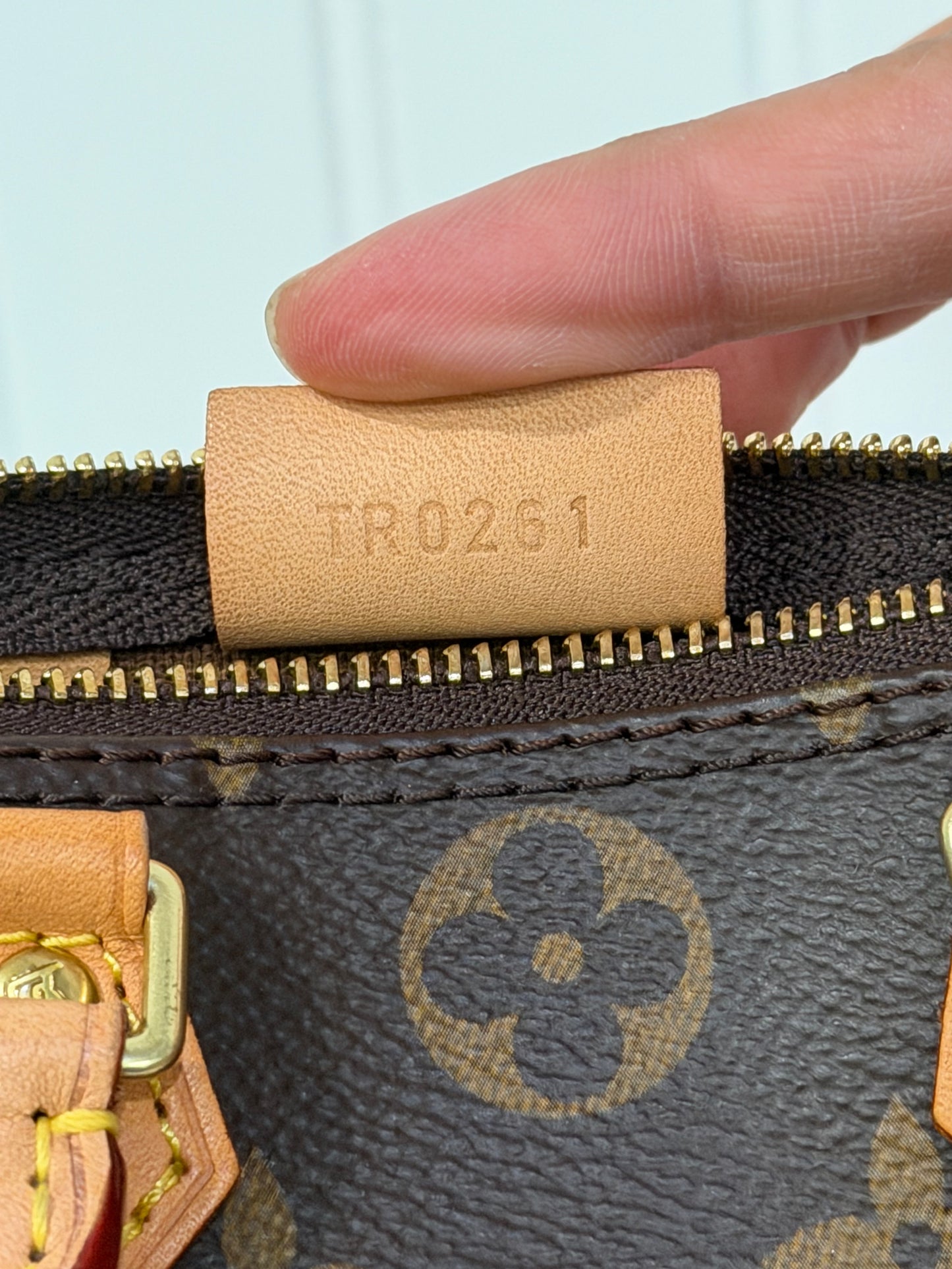 Louis Vuitton Nano Speedy Mono with Non-Detachable Strap