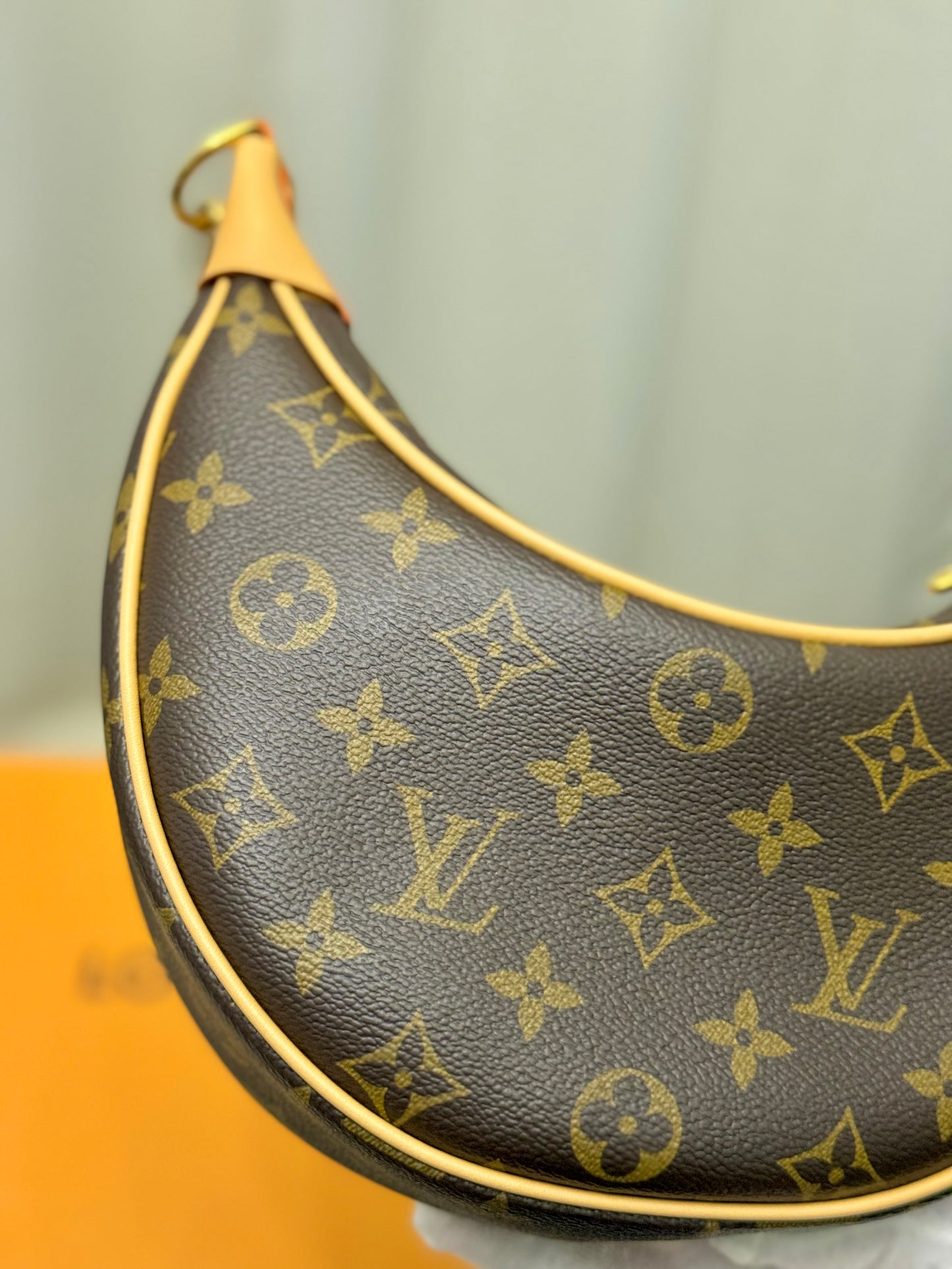 Louis Vuitton Loop PM Mono