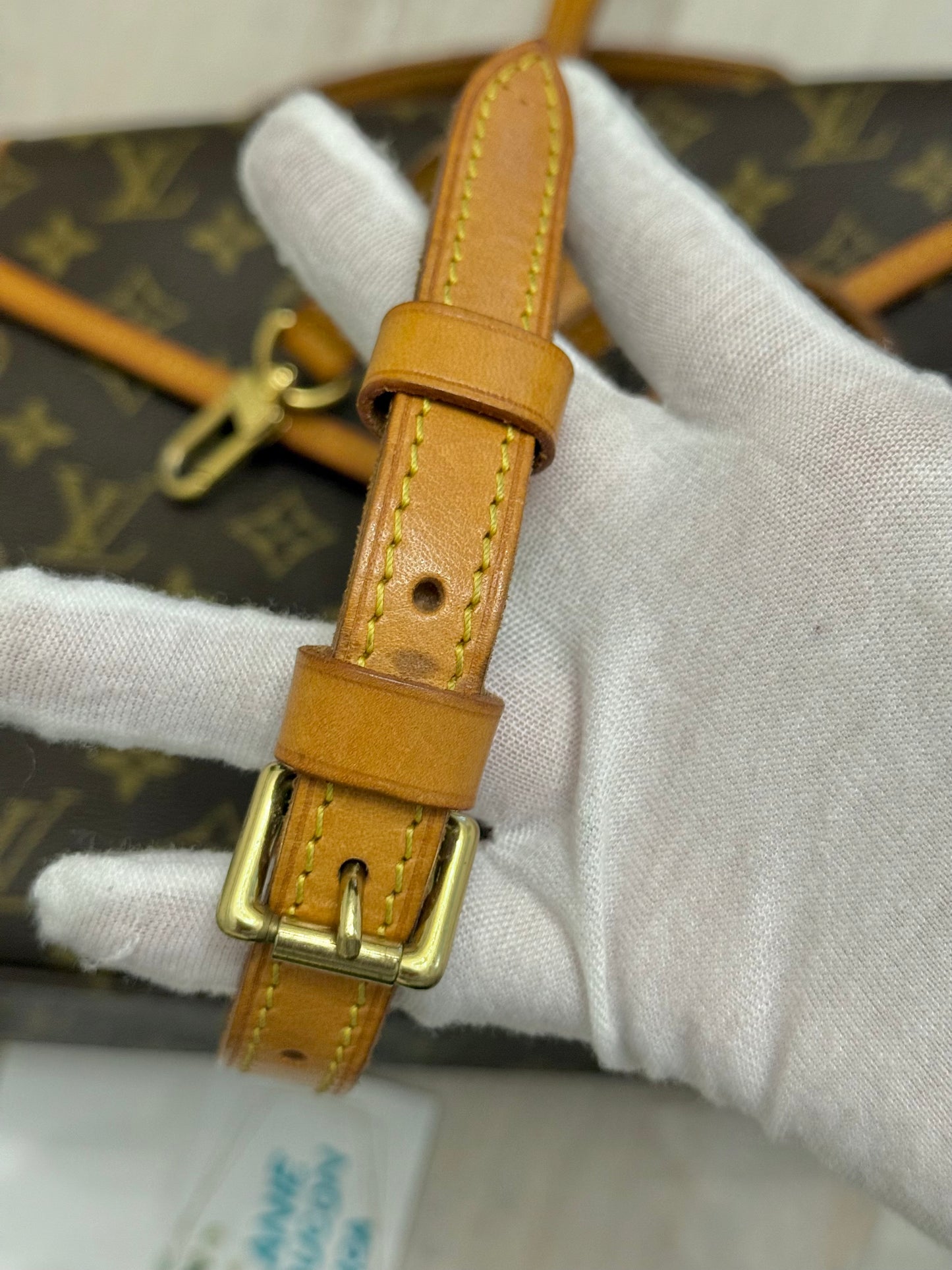 Louis Vuitton Bel Air PM Mono