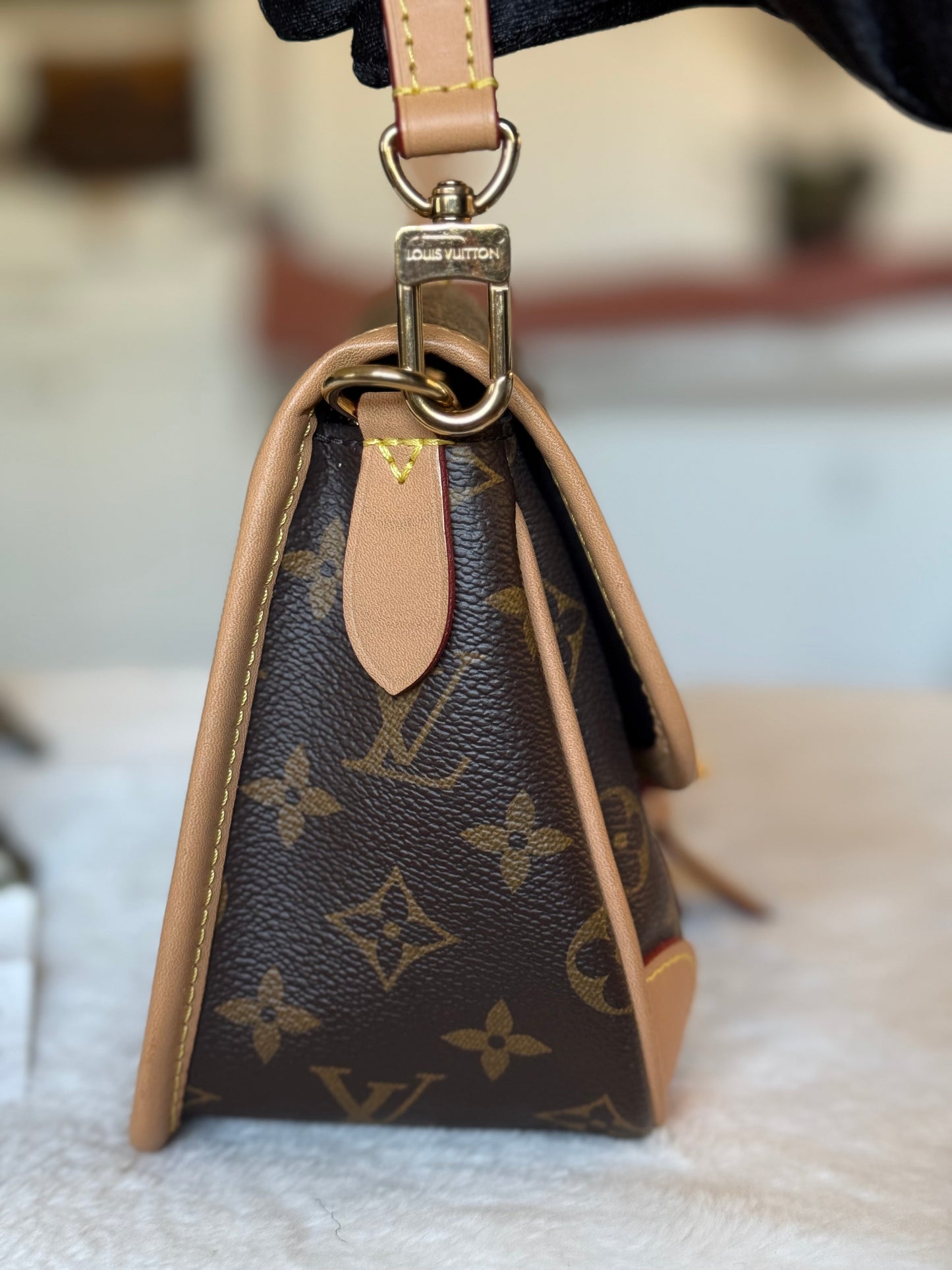Louis Vuitton Diane Mono with Shoulder Strap