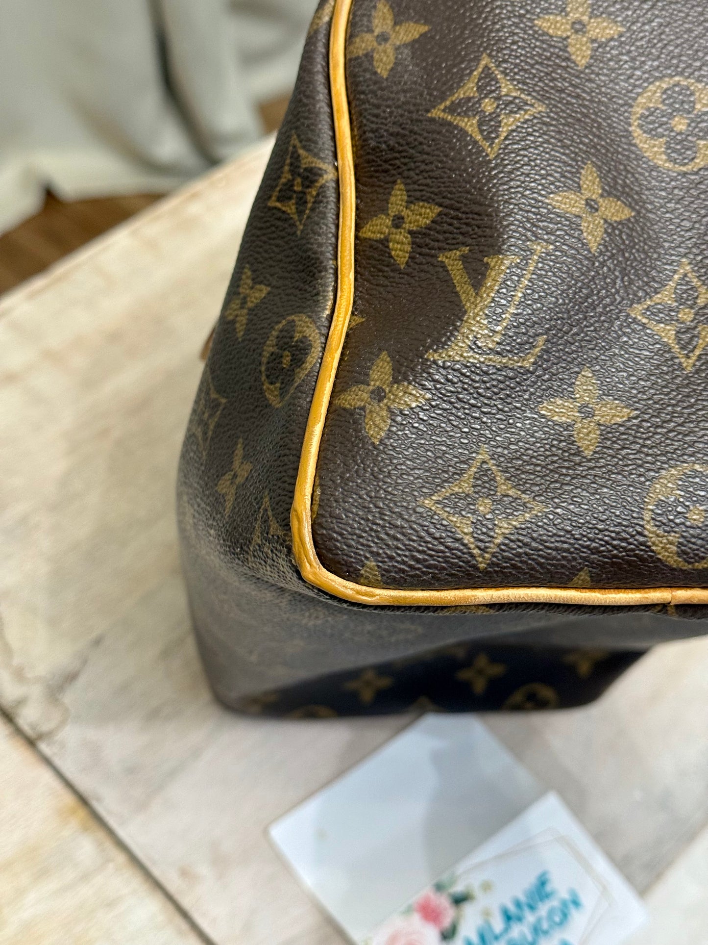 Louis Vuitton Speedy 25 Mono