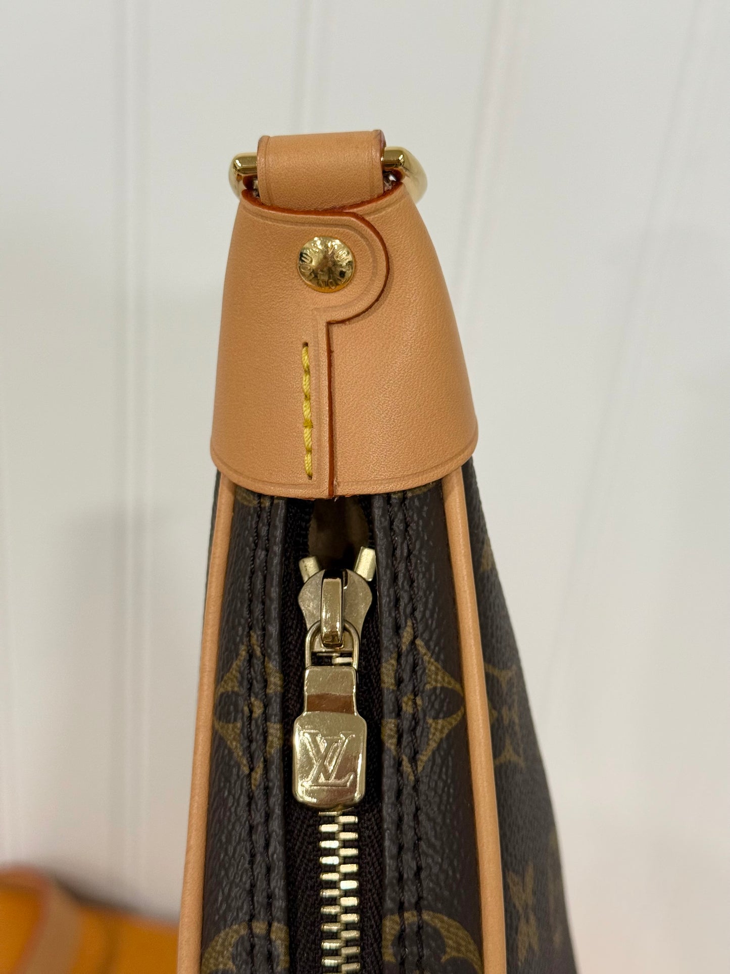 Louis Vuitton Loop PM Mono