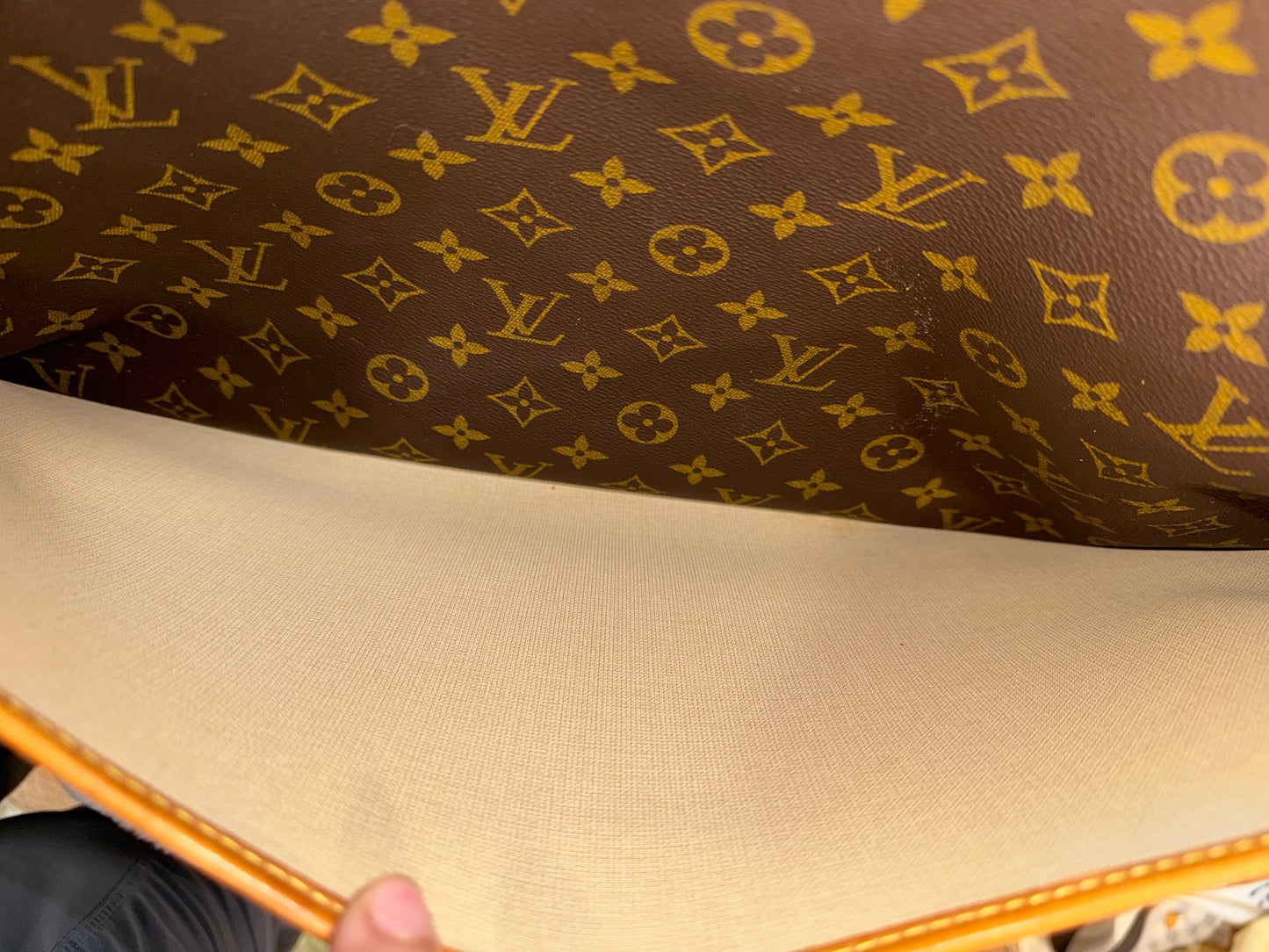 Louis Vuitton Alize 24 Mono soft Suitcase