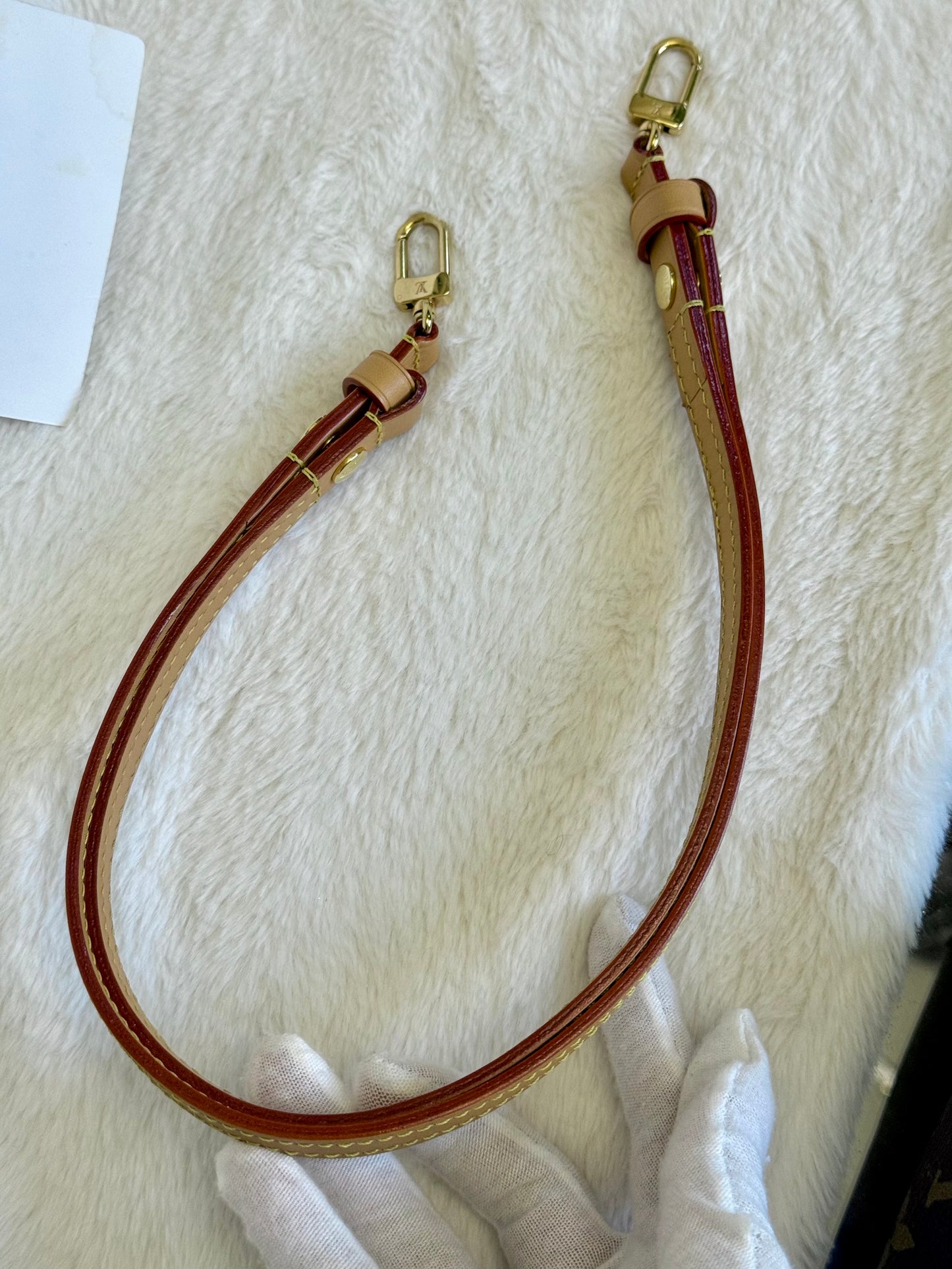 Louis Vuitton Wallet on Chain Ivy Mono