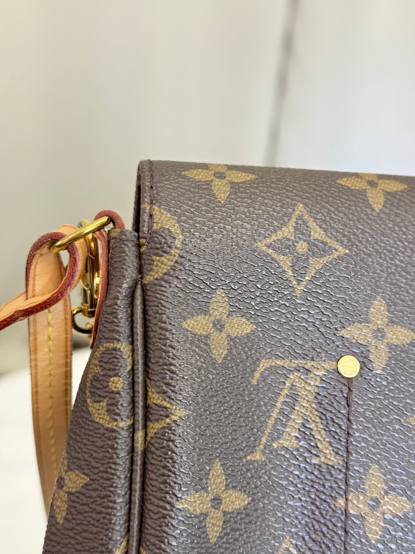 Louis Vuitton Favorite MM Mono DU2166