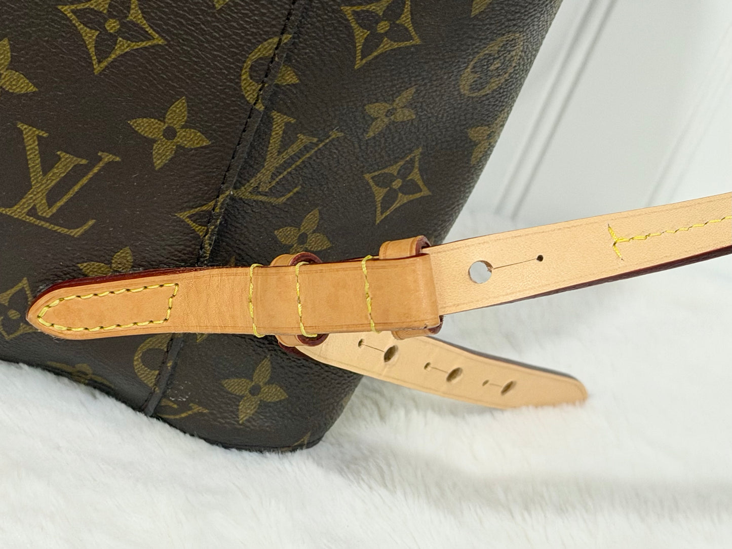 Louis Vuitton Montsouris NM Mono Backpack