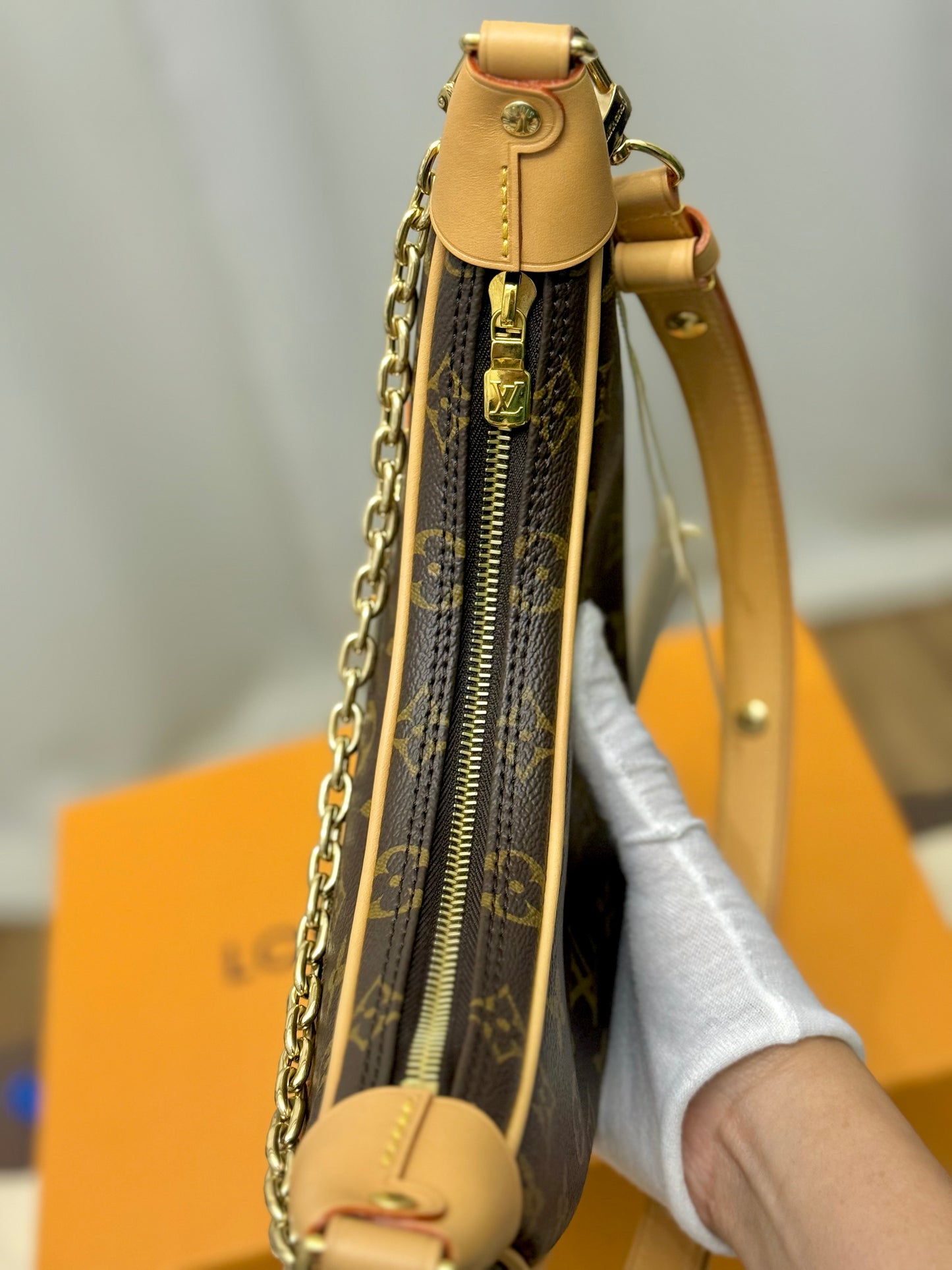Louis Vuitton Loop PM Mono