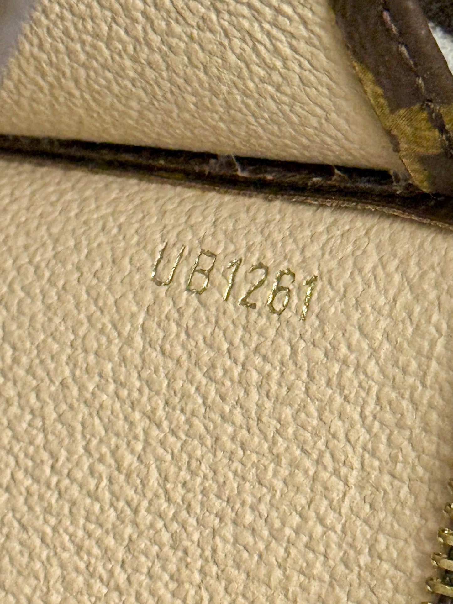 2021 Louis Vuitton Toiletry 26 Mono (Poche Toilette GM)