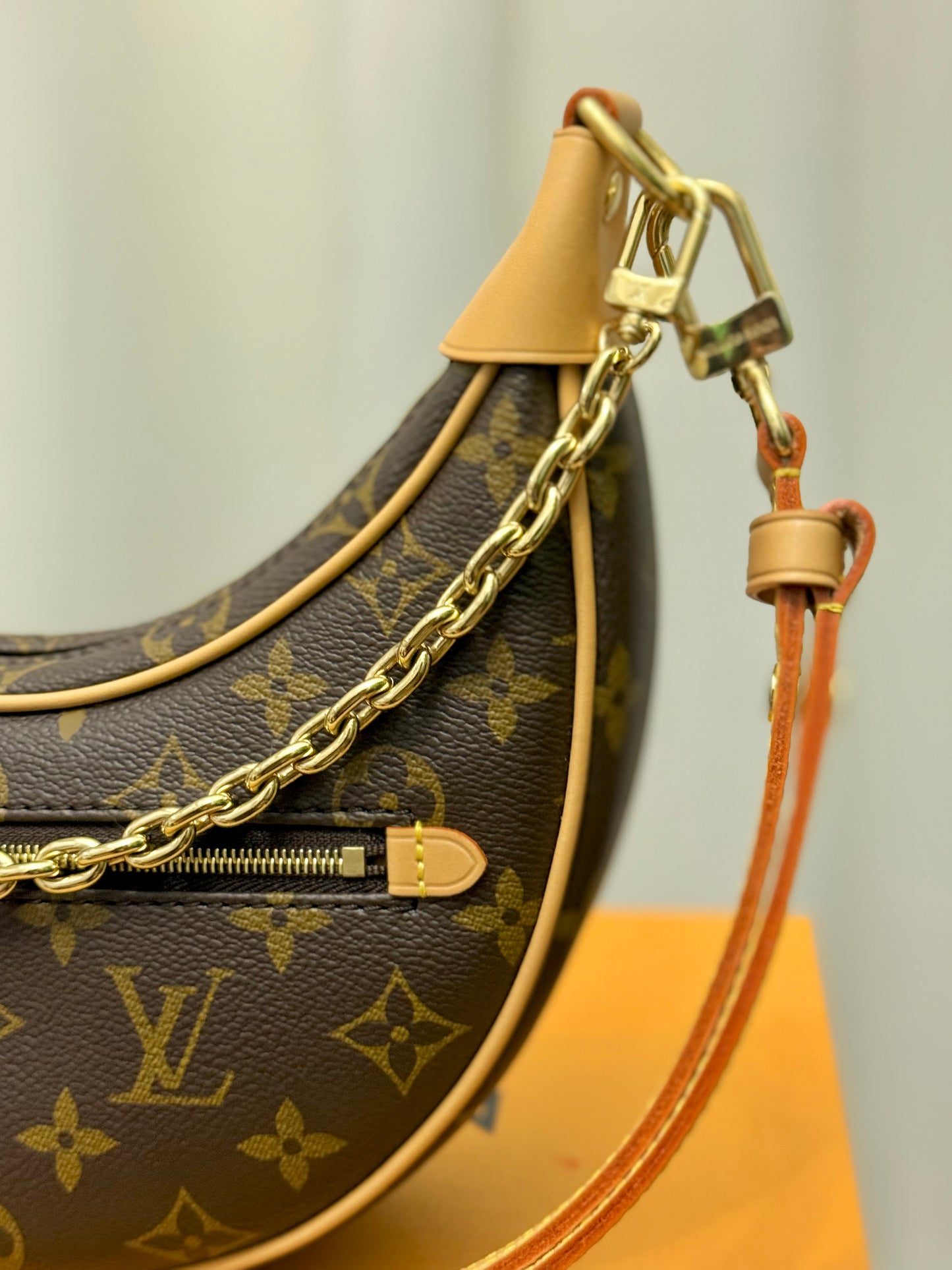 Louis Vuitton Loop PM Mono