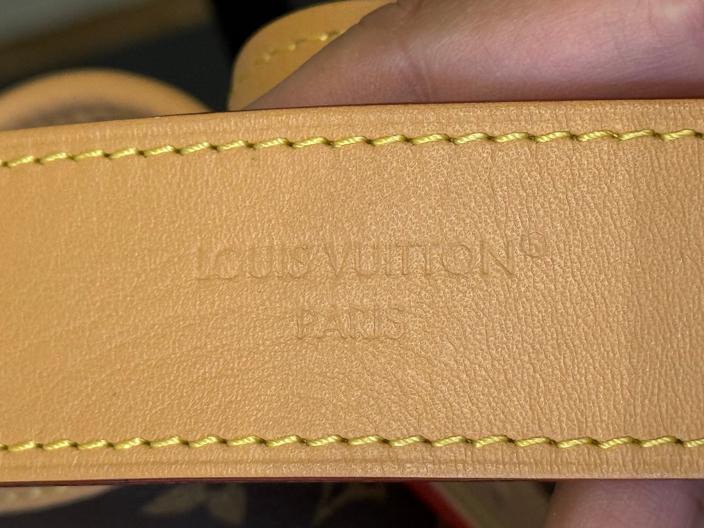 Louis Vuitton Carryall PM Mono (Bag Only)