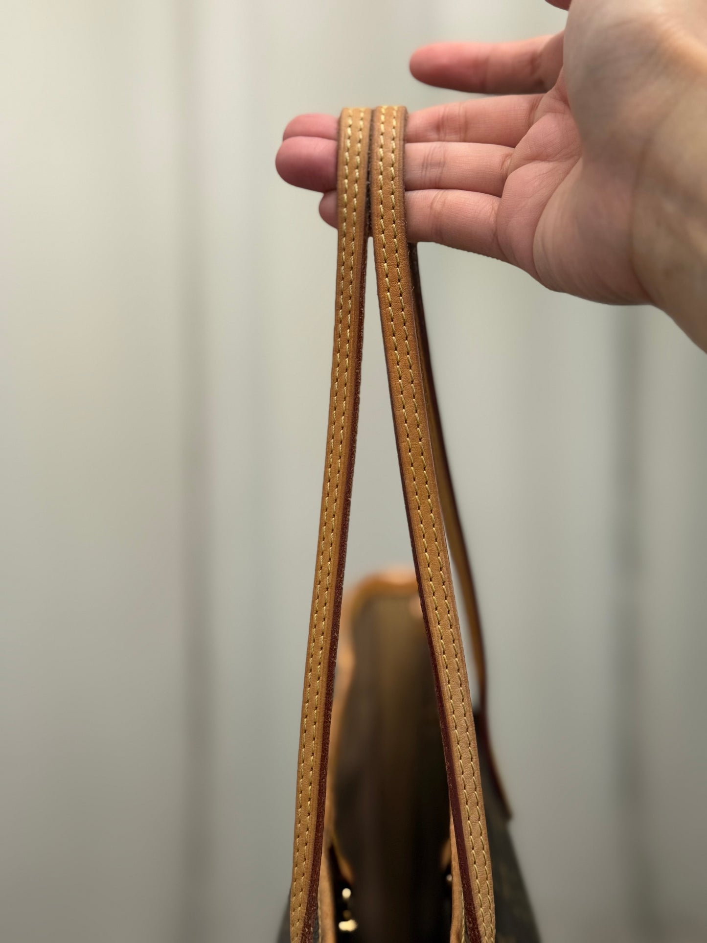 Louis Vuitton Neverfull MM Mono Beige