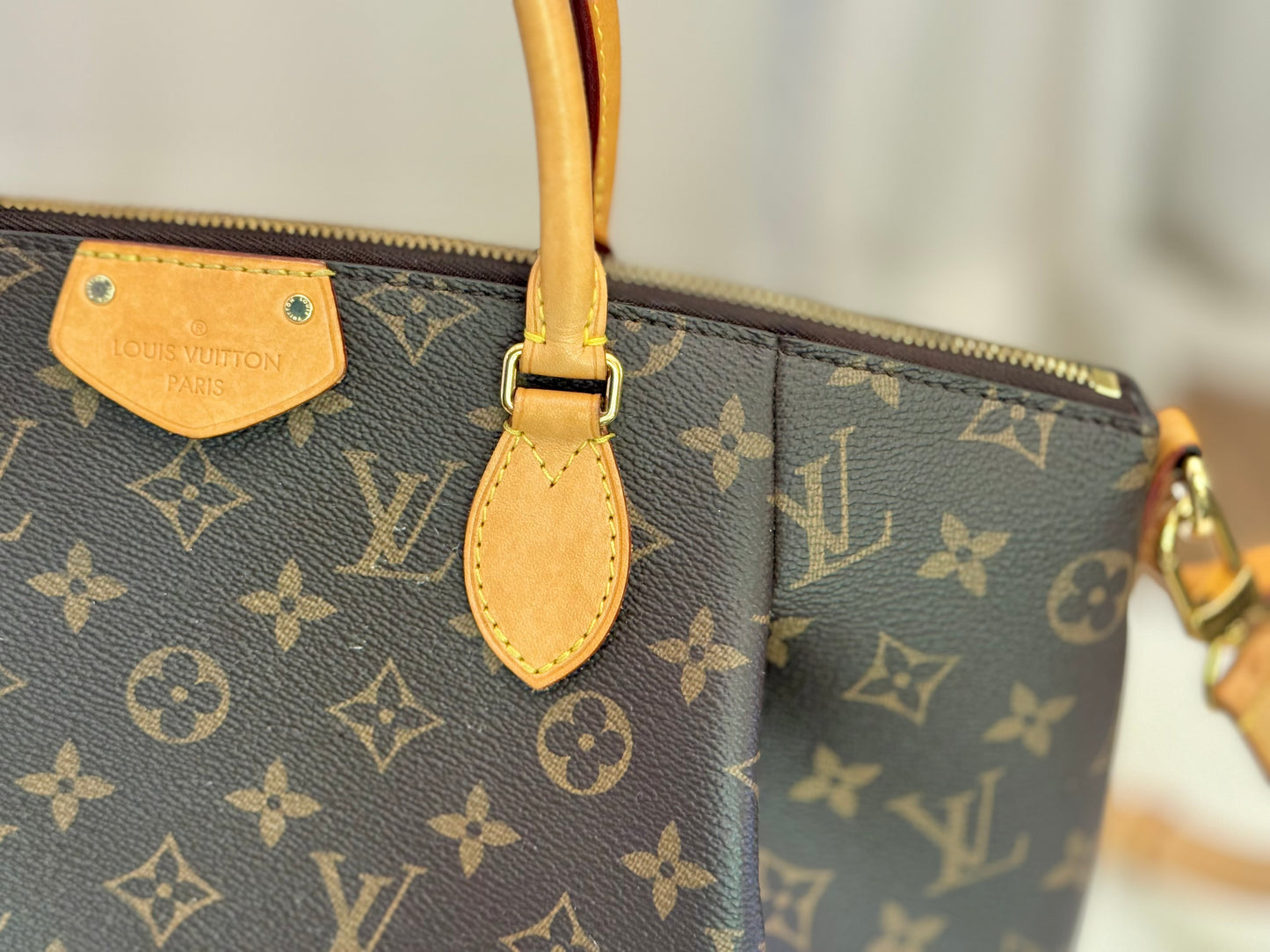 Louis Vuitton Turenne MM Mono