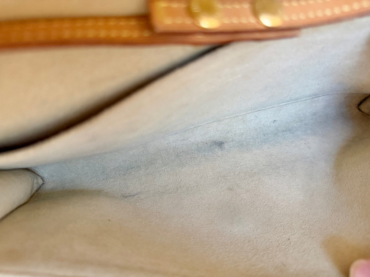 Louis Vuitton Twin Pochette GM Mono