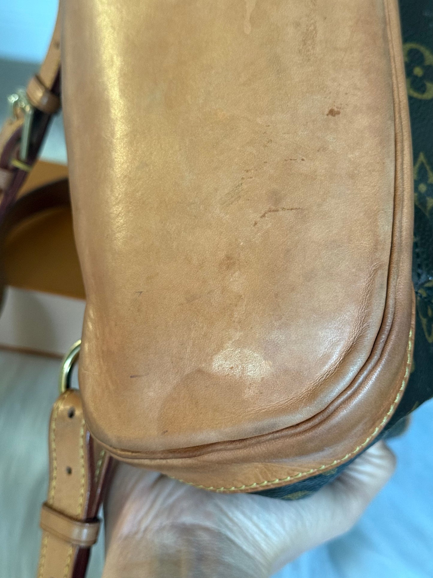 Louis Vuitton Montsouris PM Mono Old Model
