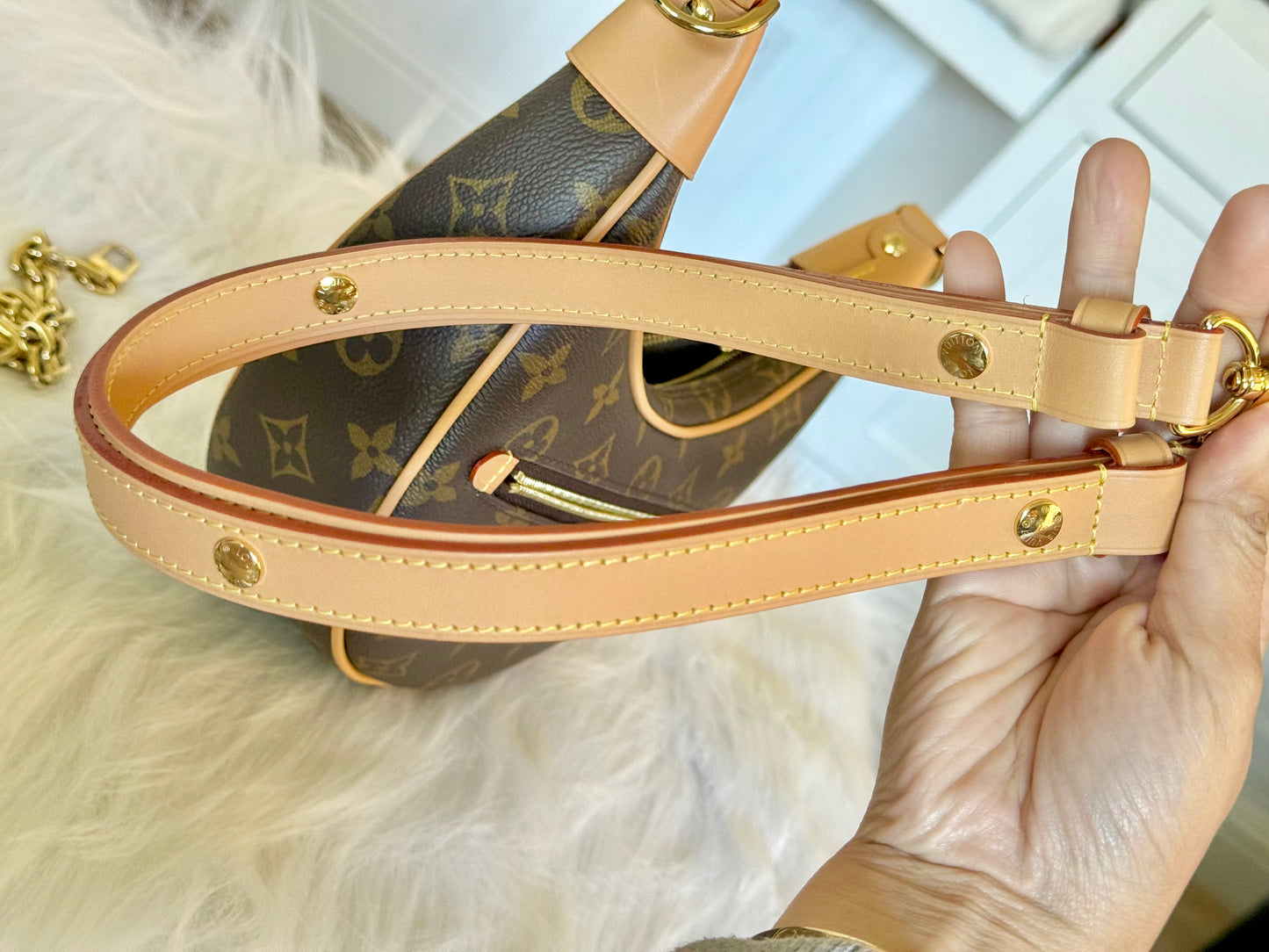 Louis Vuitton Loop PM Mono