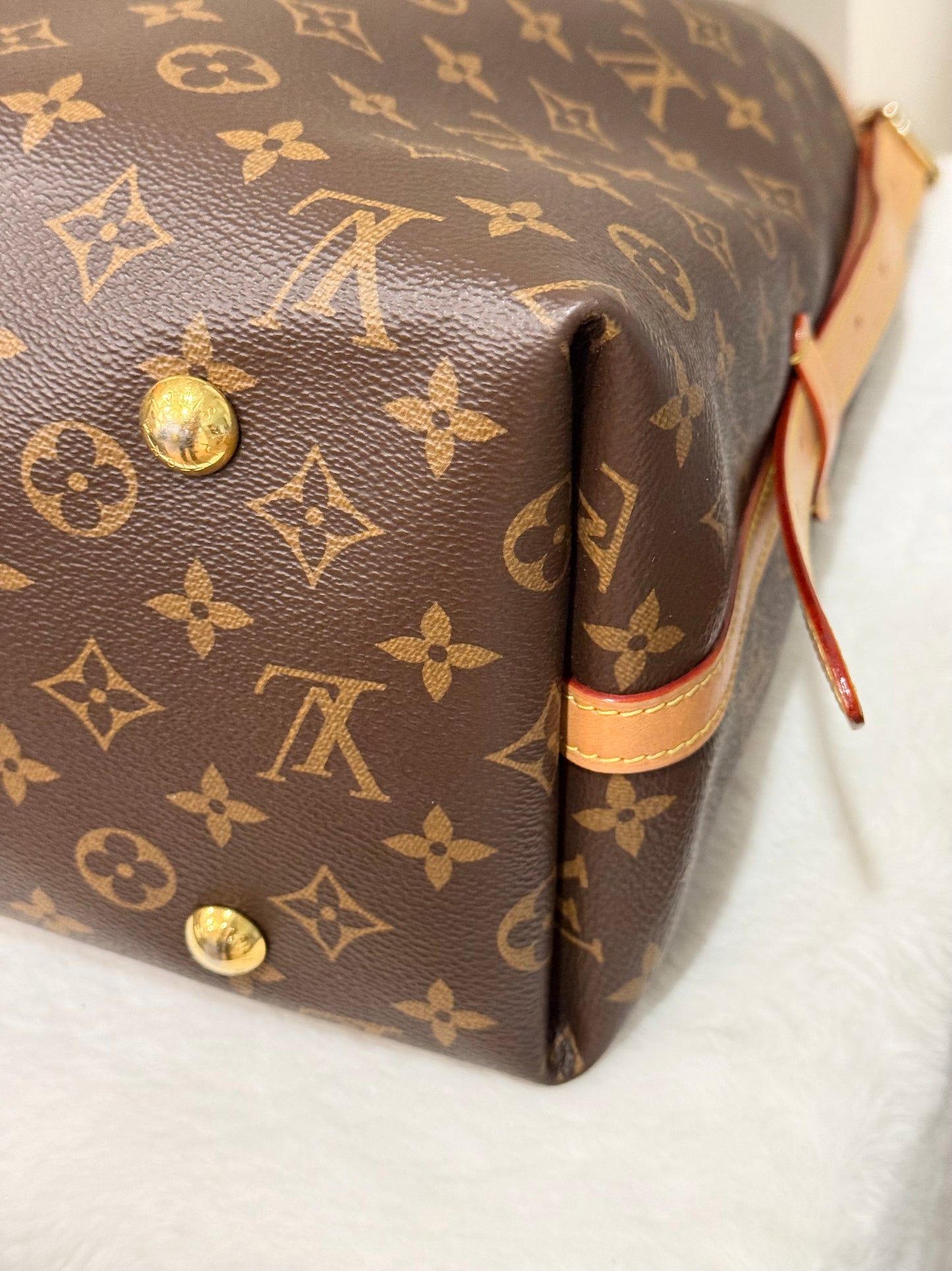 Louis Vuitton Carryall MM Mono (Bag Only)
