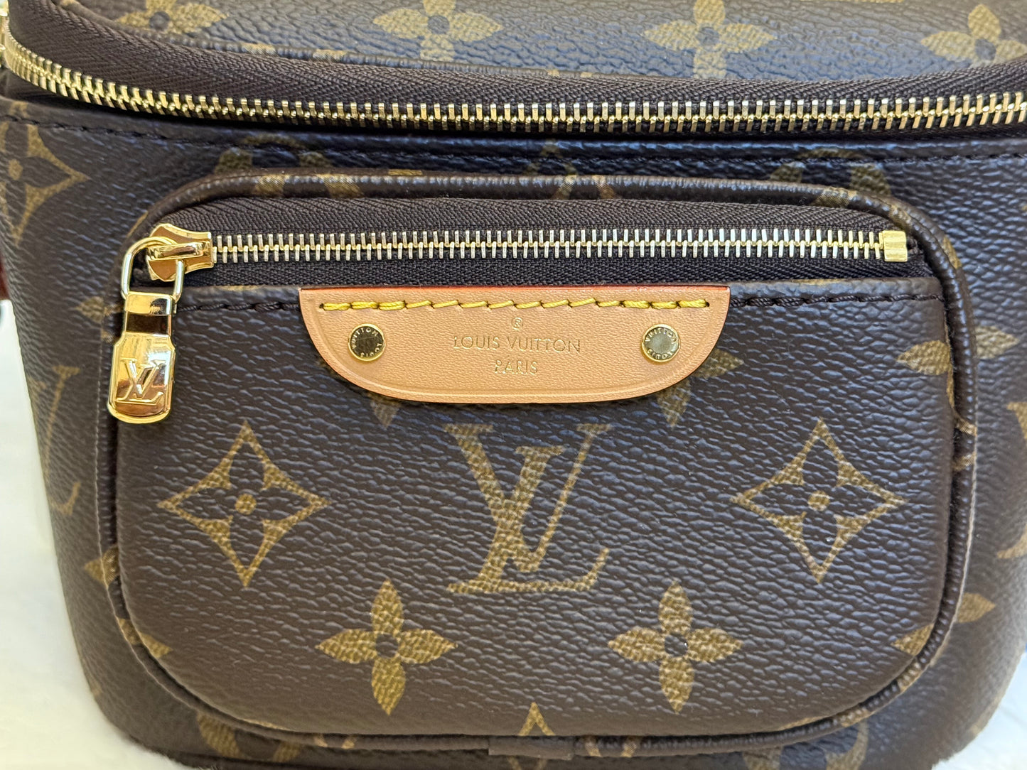 Louis Vuitton Mini Bumbag Mono