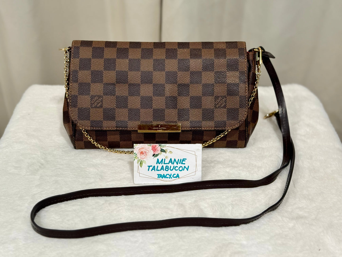 Louis Vuitton Favorite MM Damier Ebene