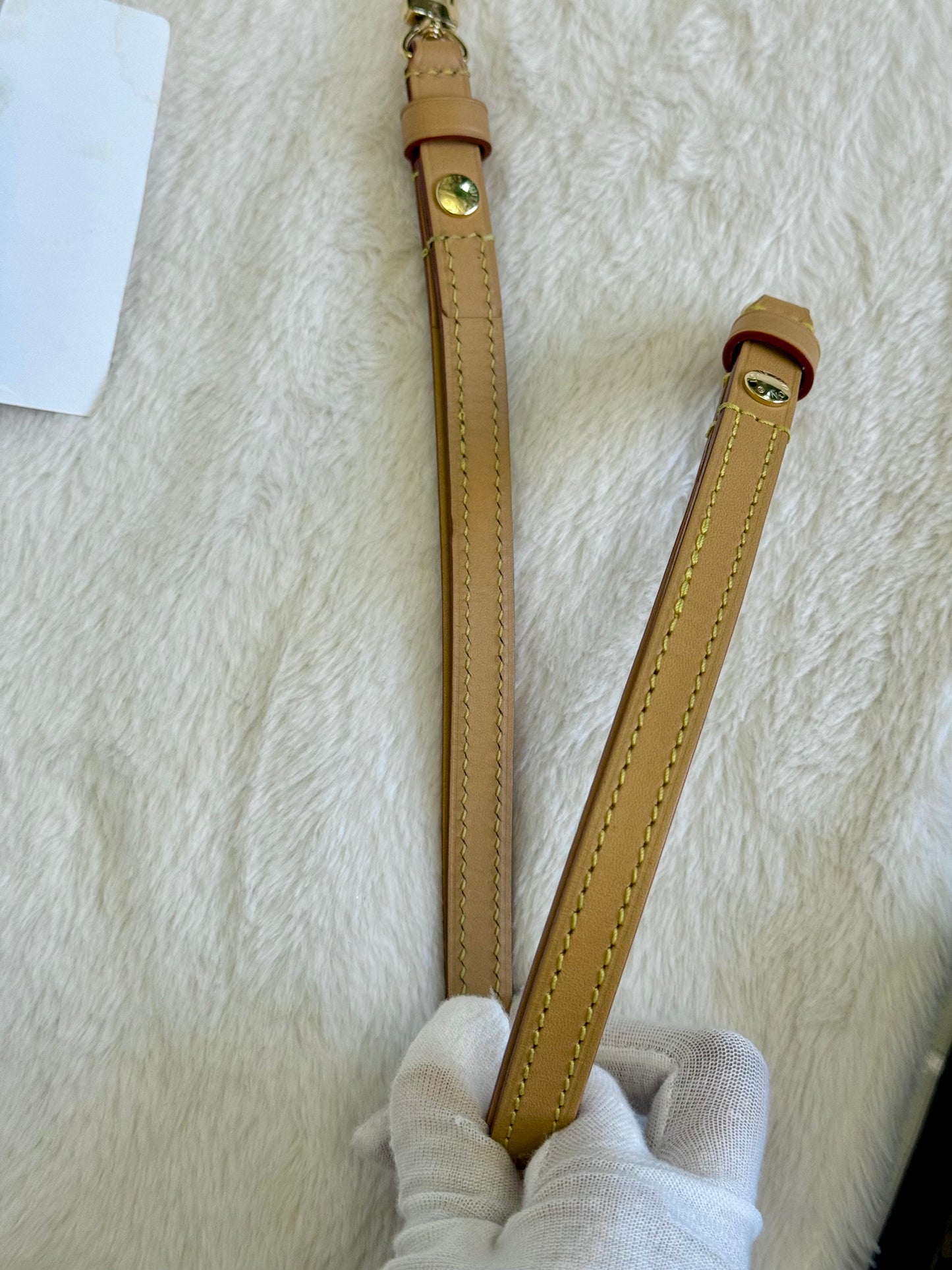 Louis Vuitton Wallet on Chain Ivy Mono