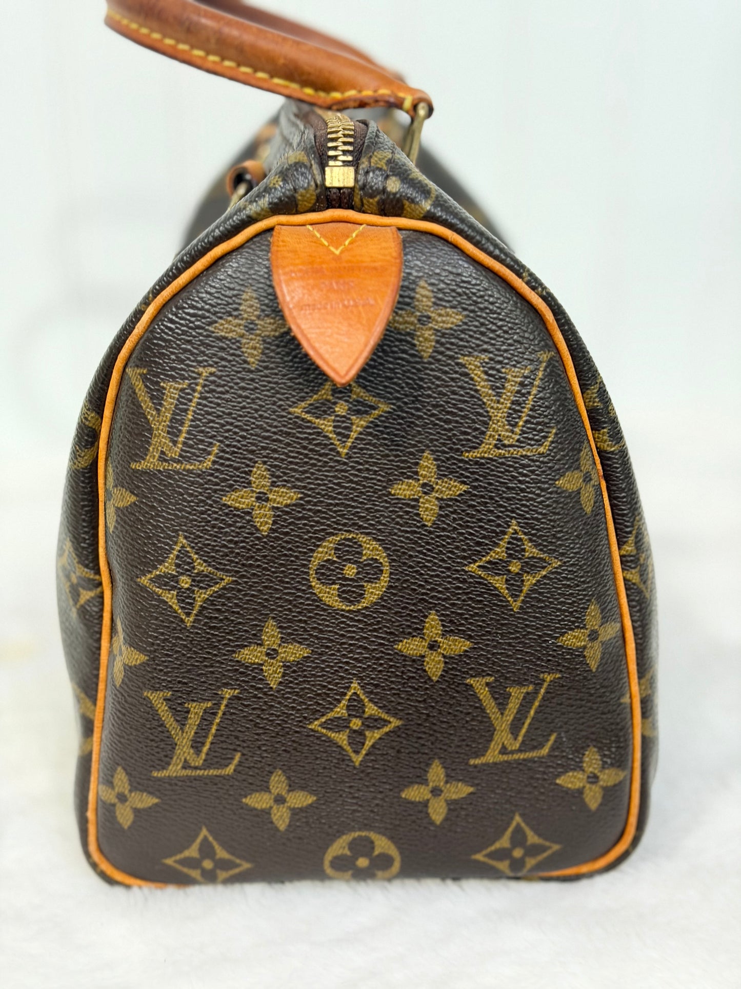 Louis Vuitton Speedy 25 Mono