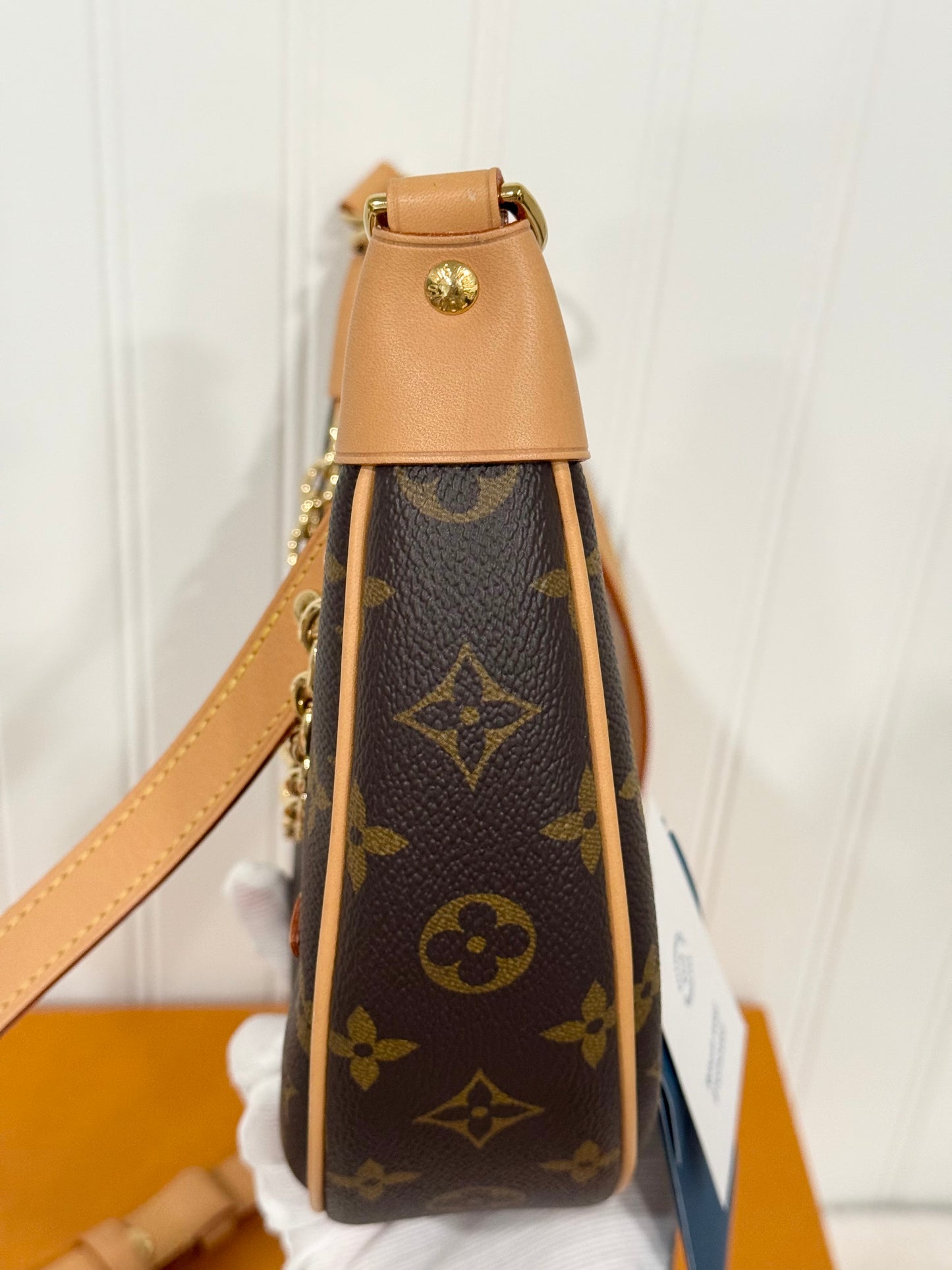 Louis Vuitton Loop PM Mono