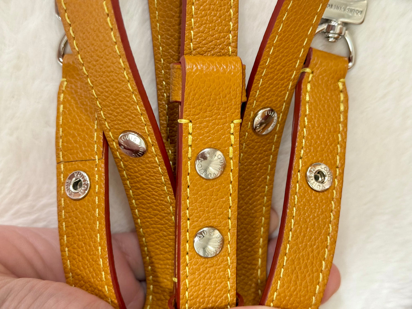 Louis Vuitton Buci in Epi Gold Honey