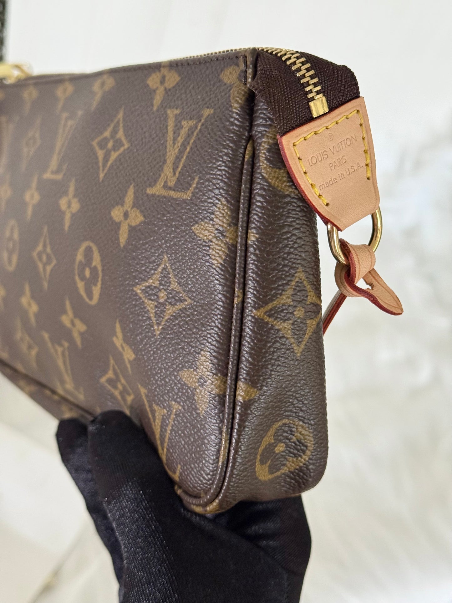 Louis Vuitton Pochette Accessoires Old Model Mono