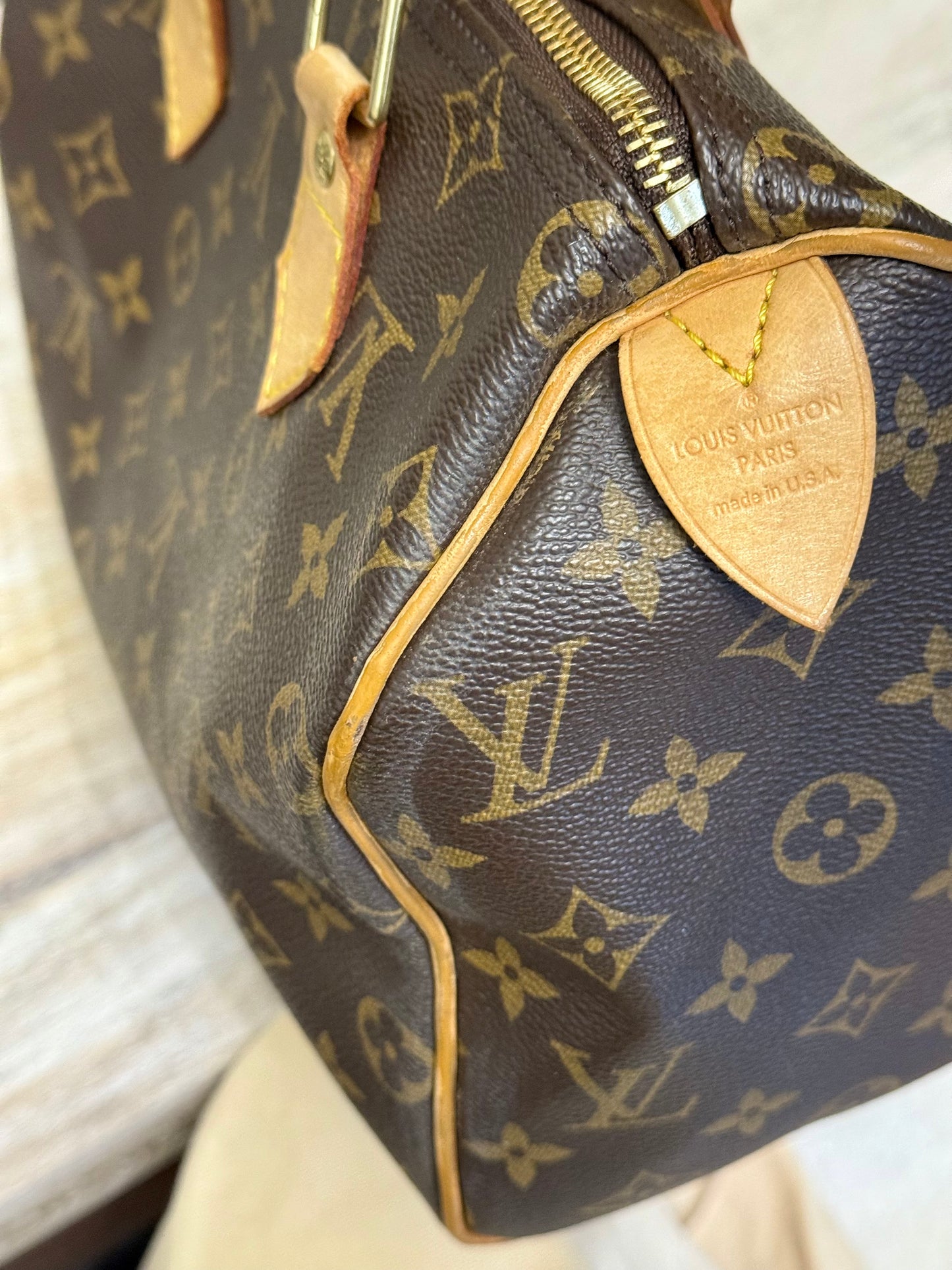 Louis Vuitton Speedy 25 Mono