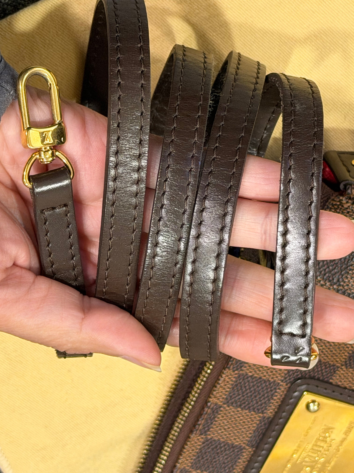 Louis Vuitton Eva Pochette Damier Ebene