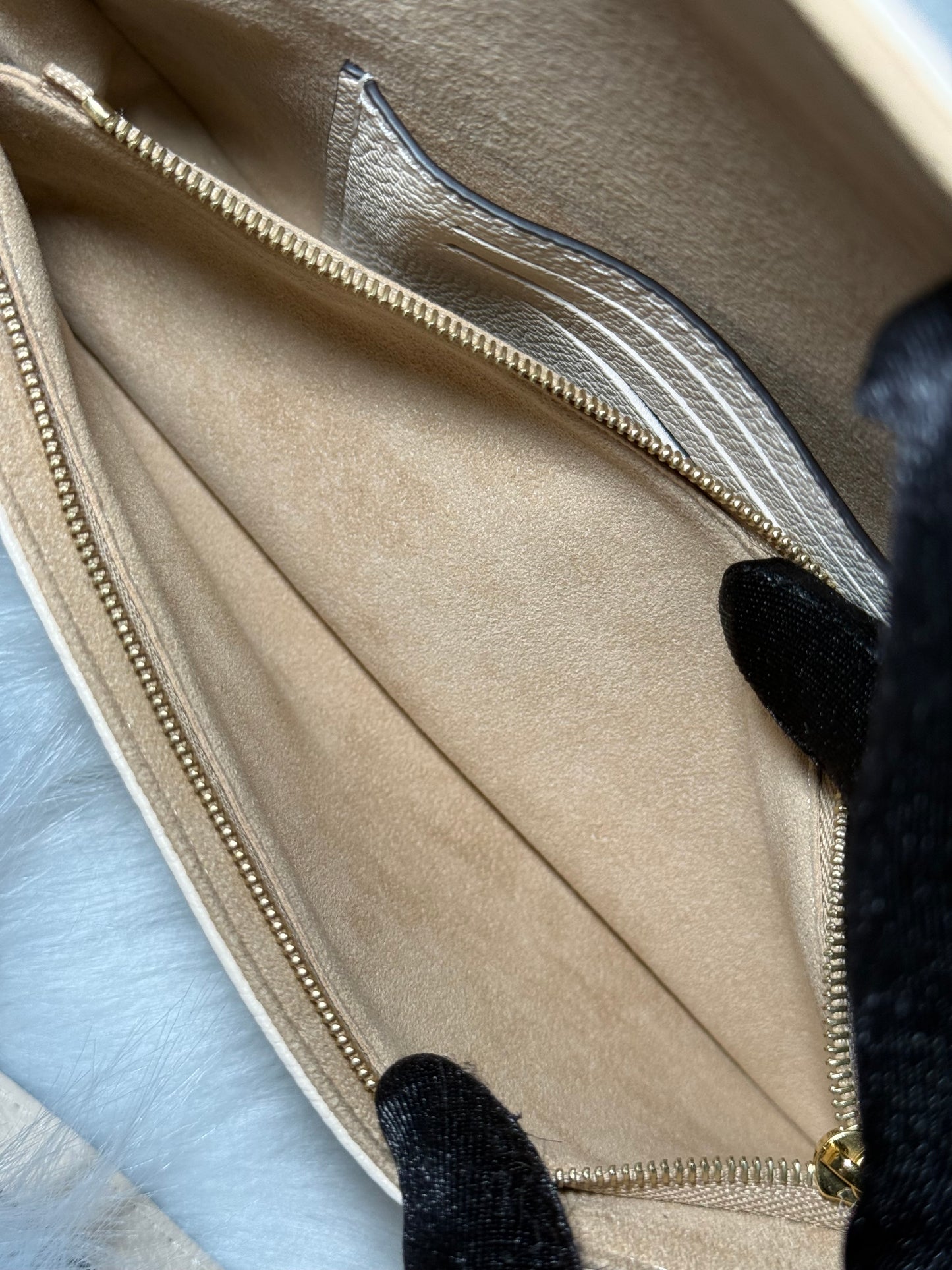 Louis Vuitton Ivy Wallet on Chain Cream Empreinte