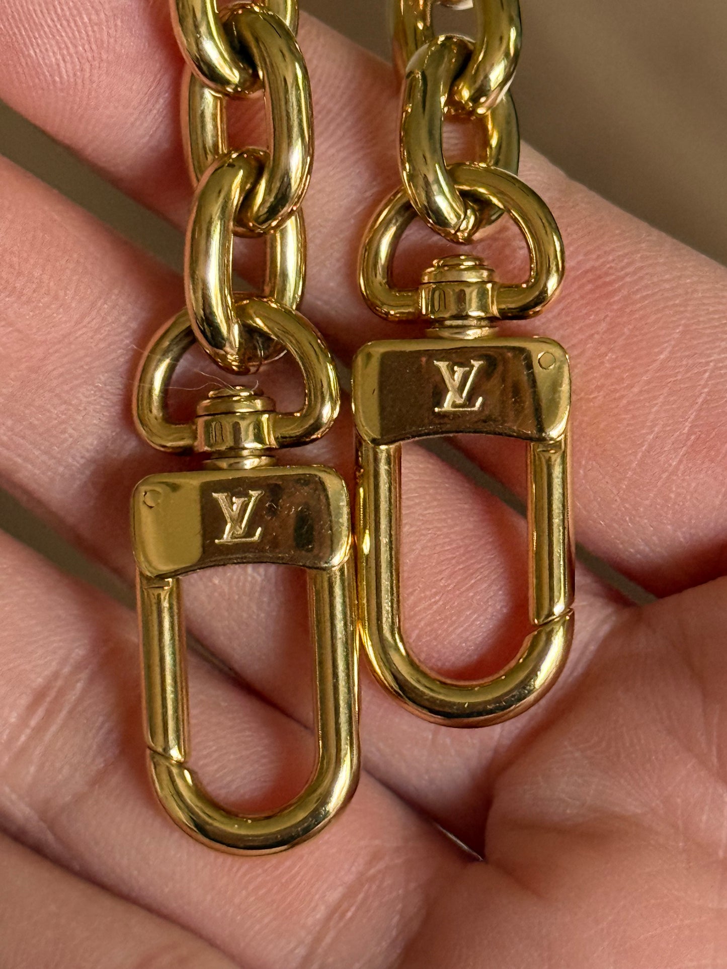 Louis Vuitton Loop PM Mono