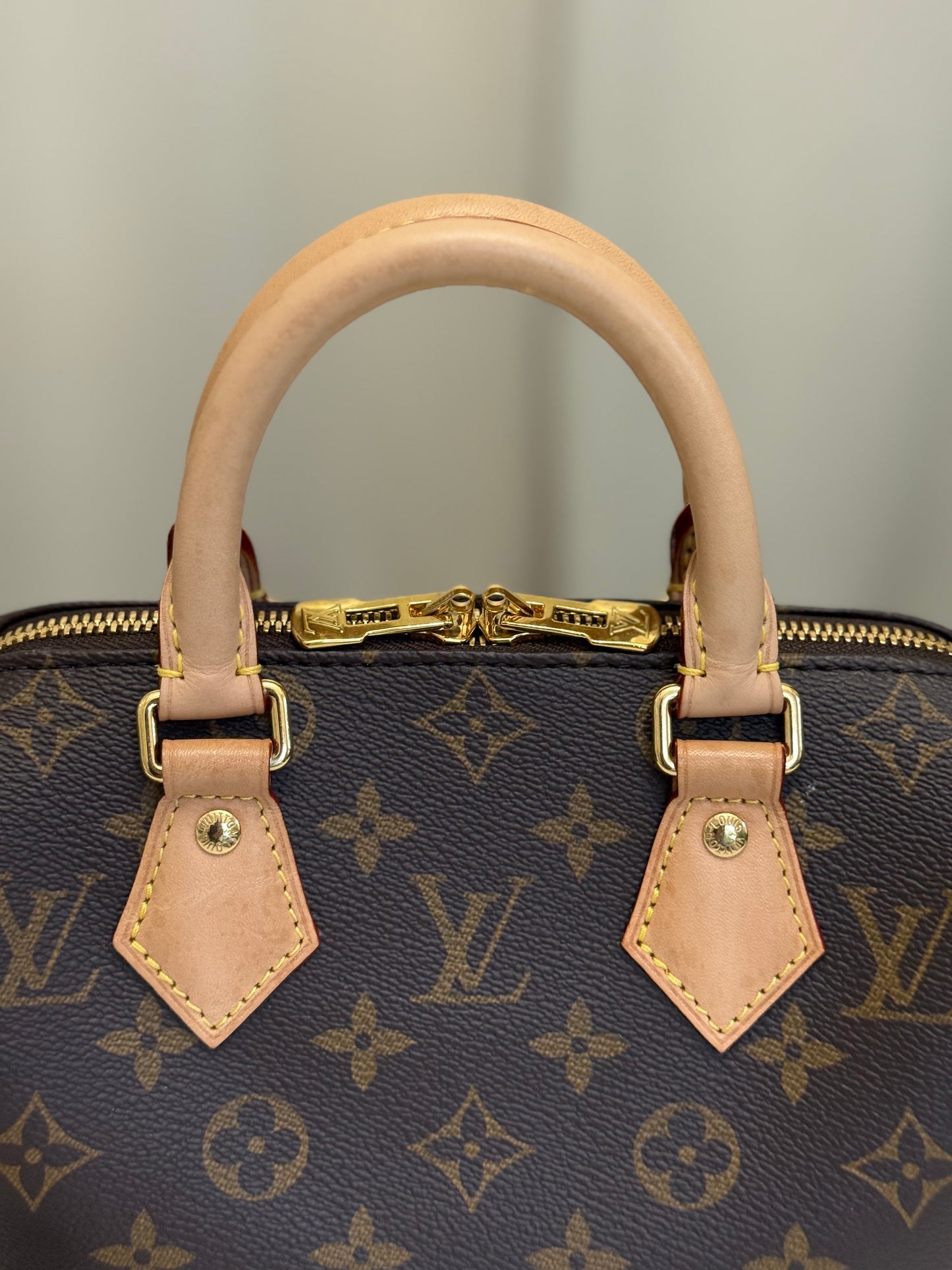 Louis Vuitton Speedy 20 Mono Bag Only