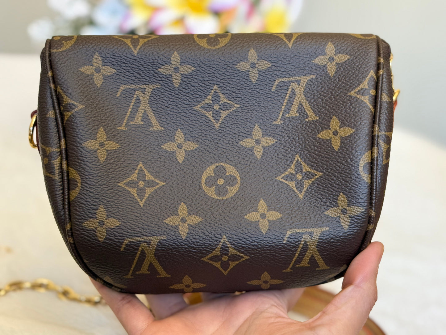 Louis Vuitton Mini Bumbag Mono