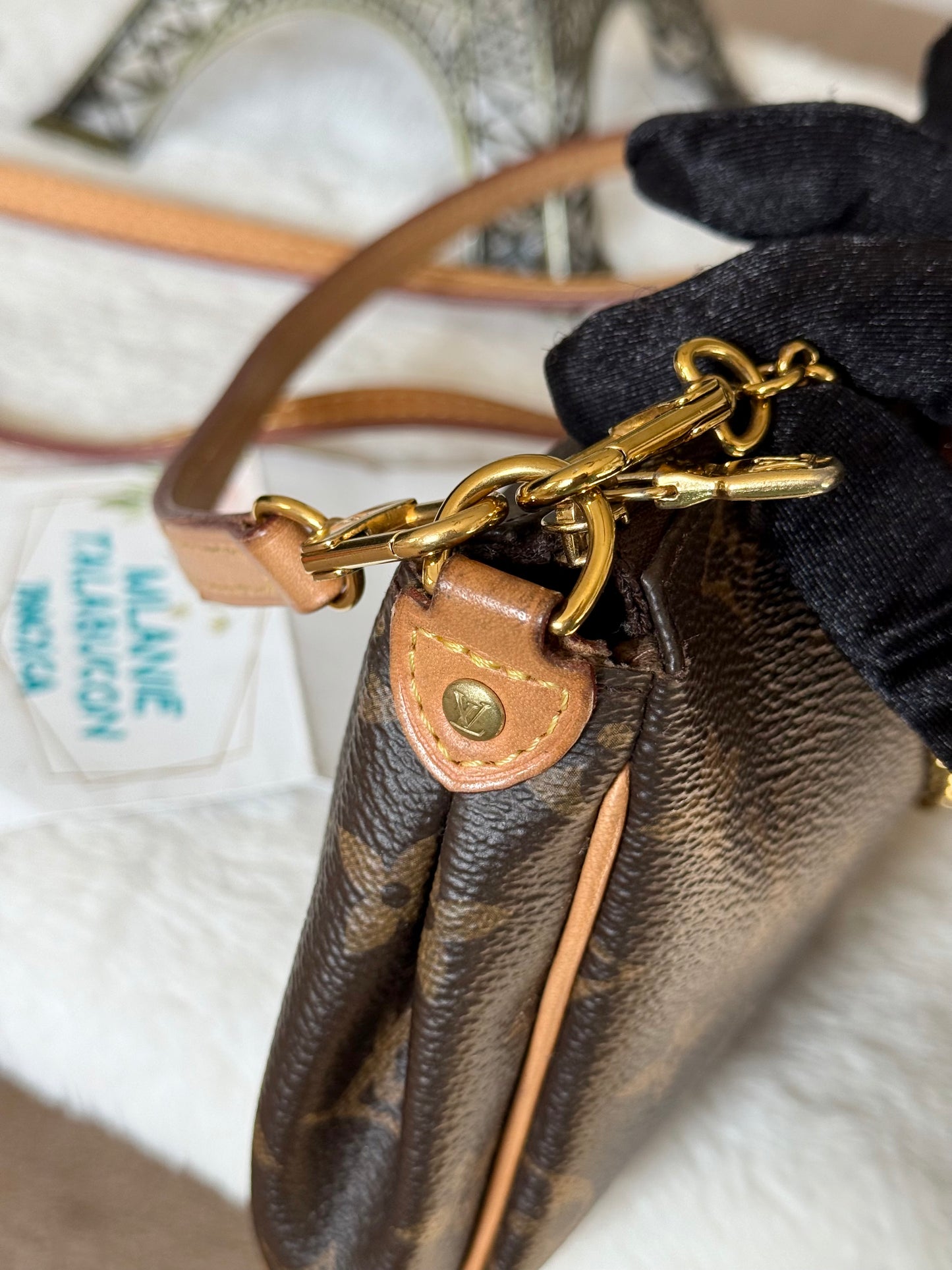 Louis Vuitton Eva Pochette Mono