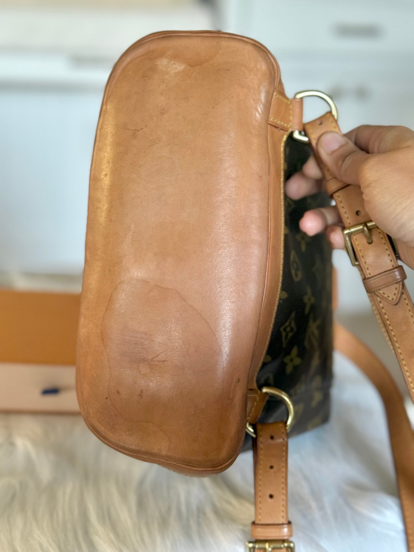 Louis Vuitton Montsouris PM Mono Old Model