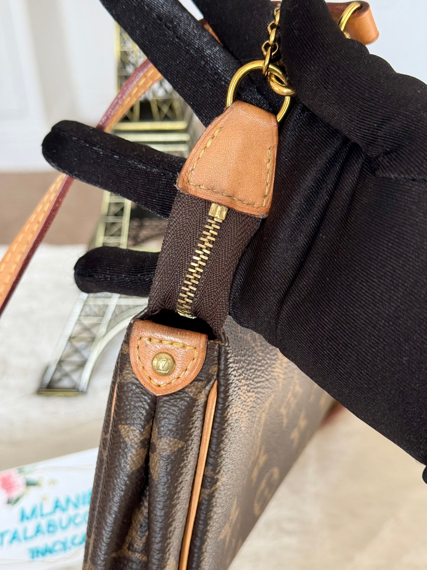 Louis Vuitton Eva Pochette Mono