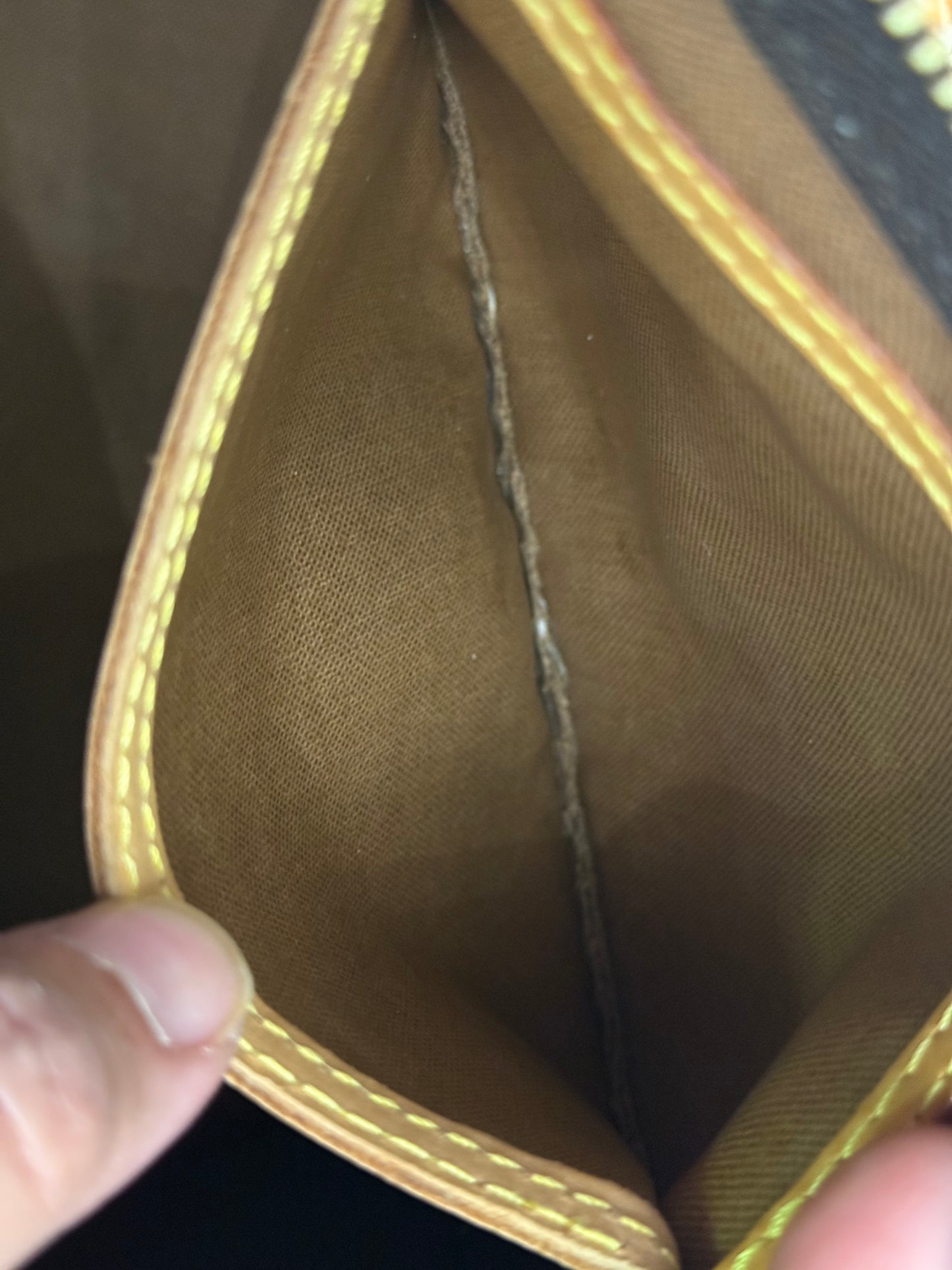 Louis Vuitton Speedy 25 Mono