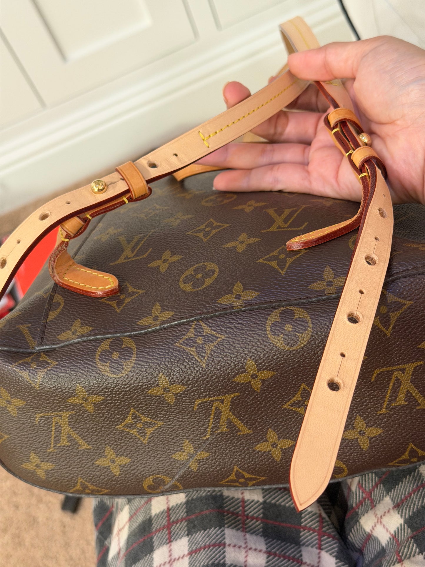 Louis Vuitton Montsouris NM Mono Backpack