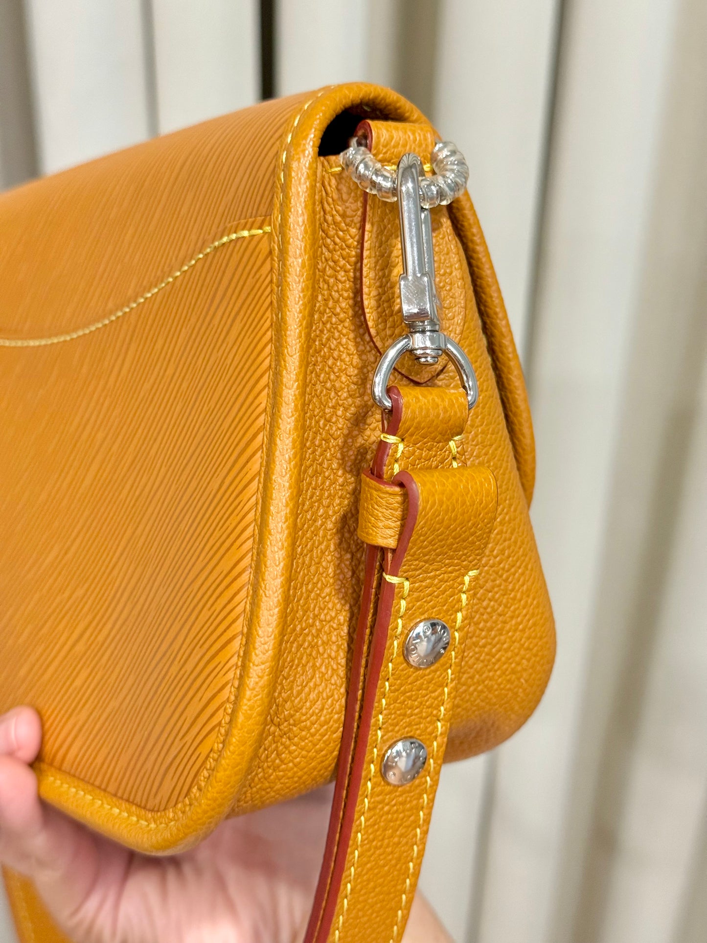 Louis Vuitton Buci in Epi Gold Honey