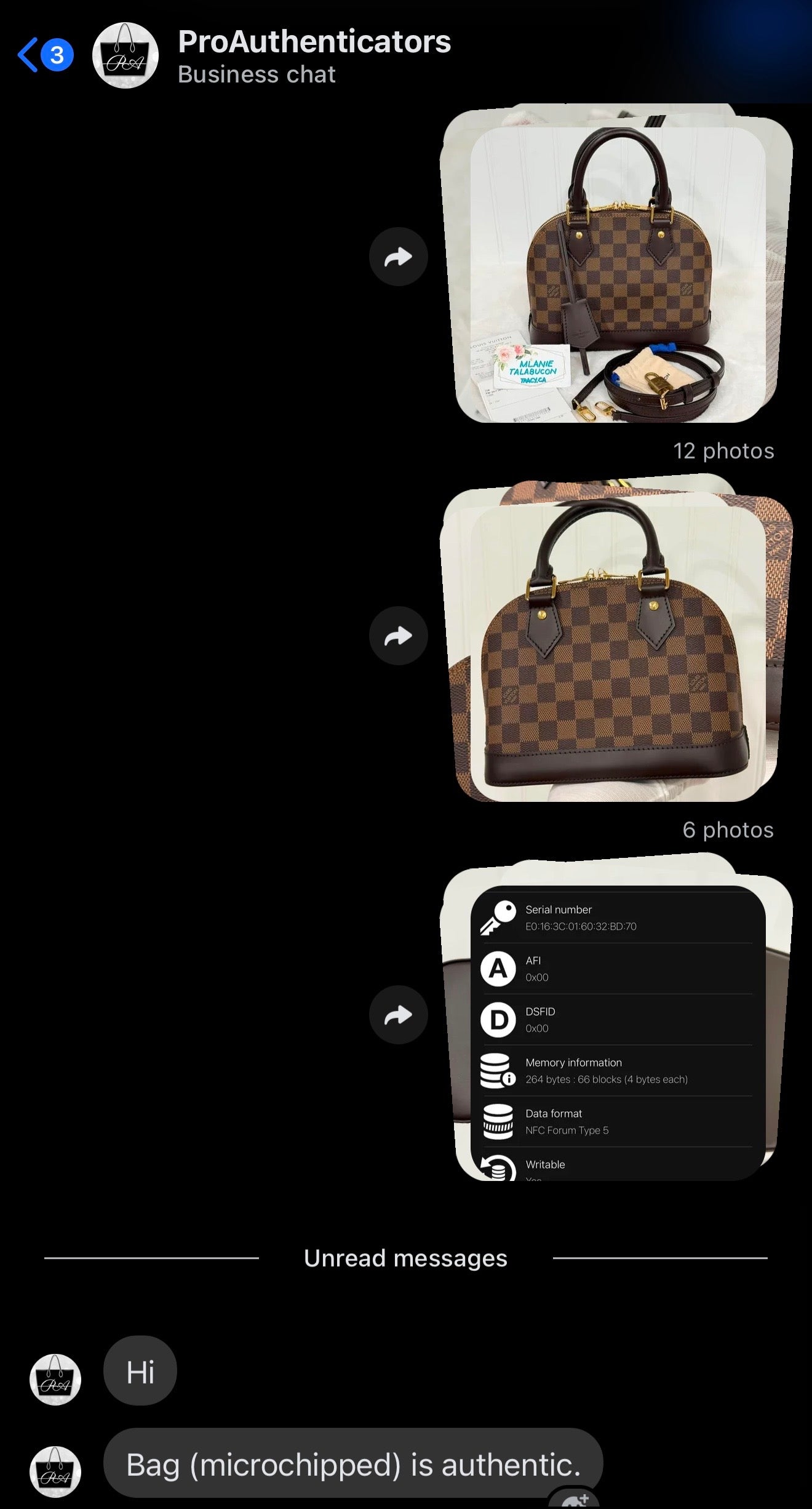 Louis Vuitton Alma BB Damier Ebene