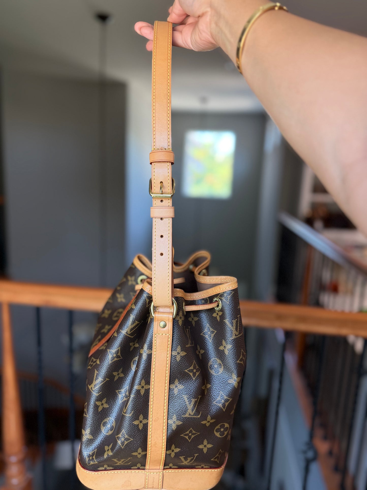 Louis Vuitton Petit Noe NM Mono
