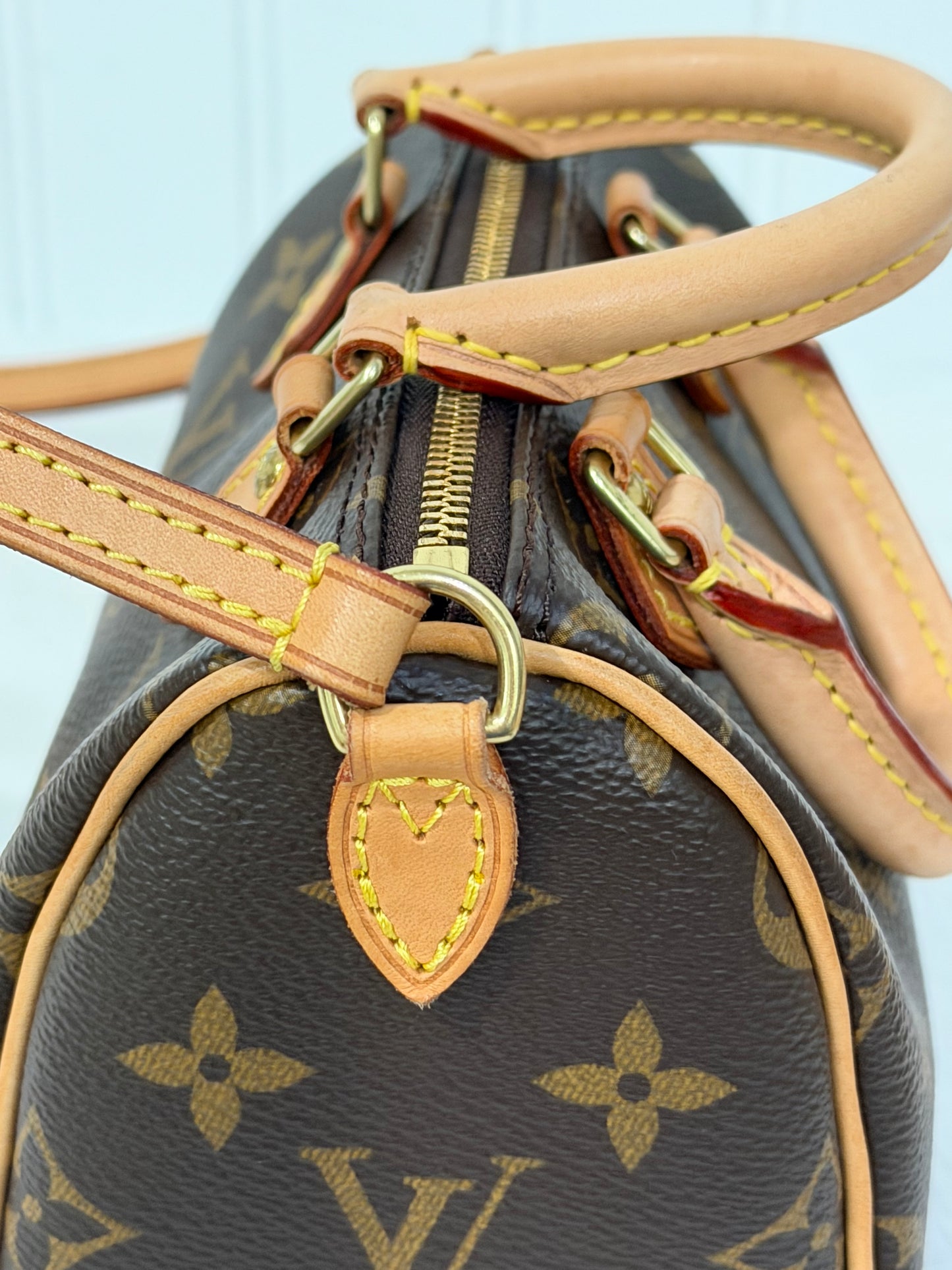 Louis Vuitton Nano Speedy Mono with Non-Detachable Strap