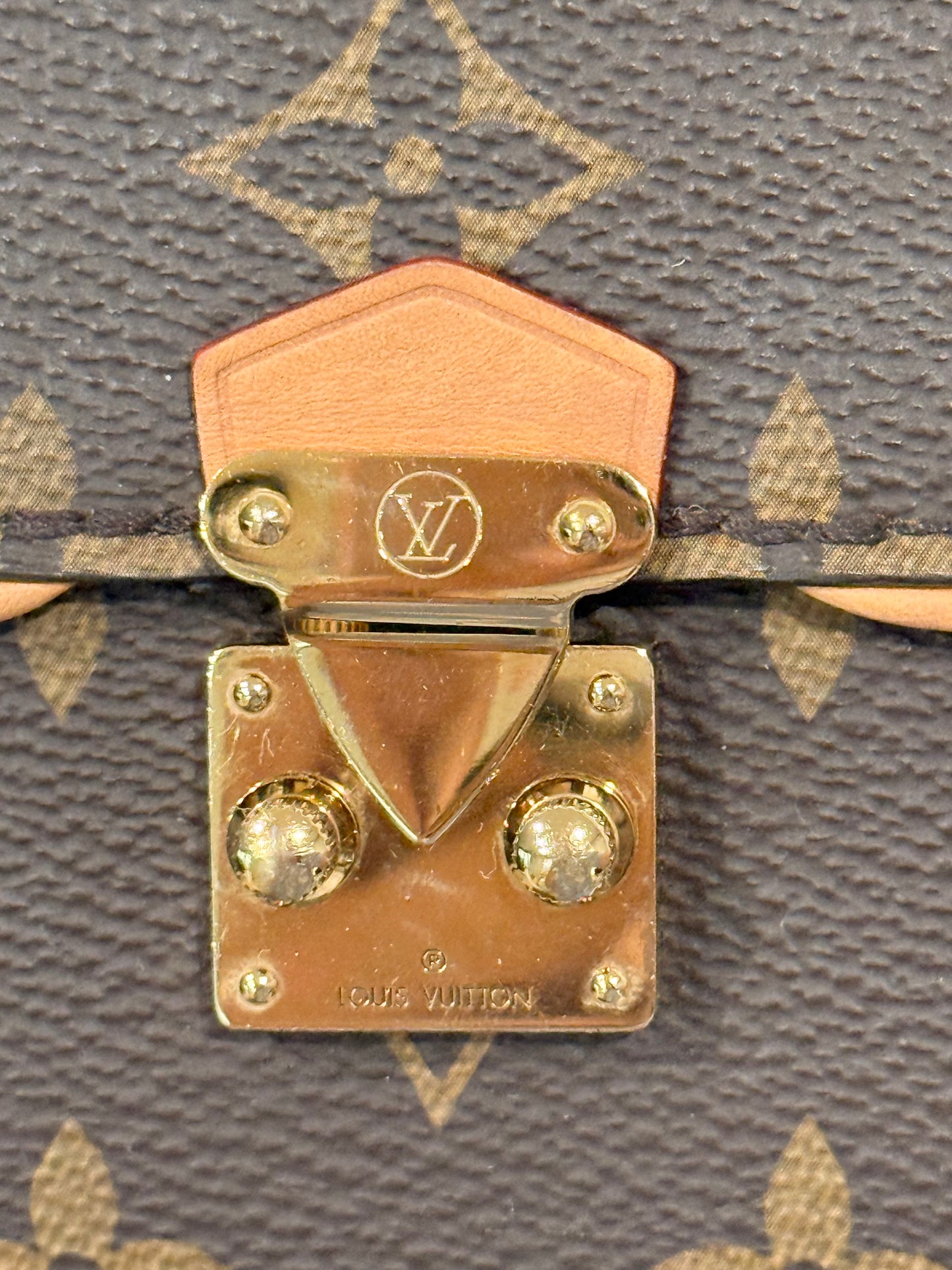 Louis Vuitton Pochette Camille
