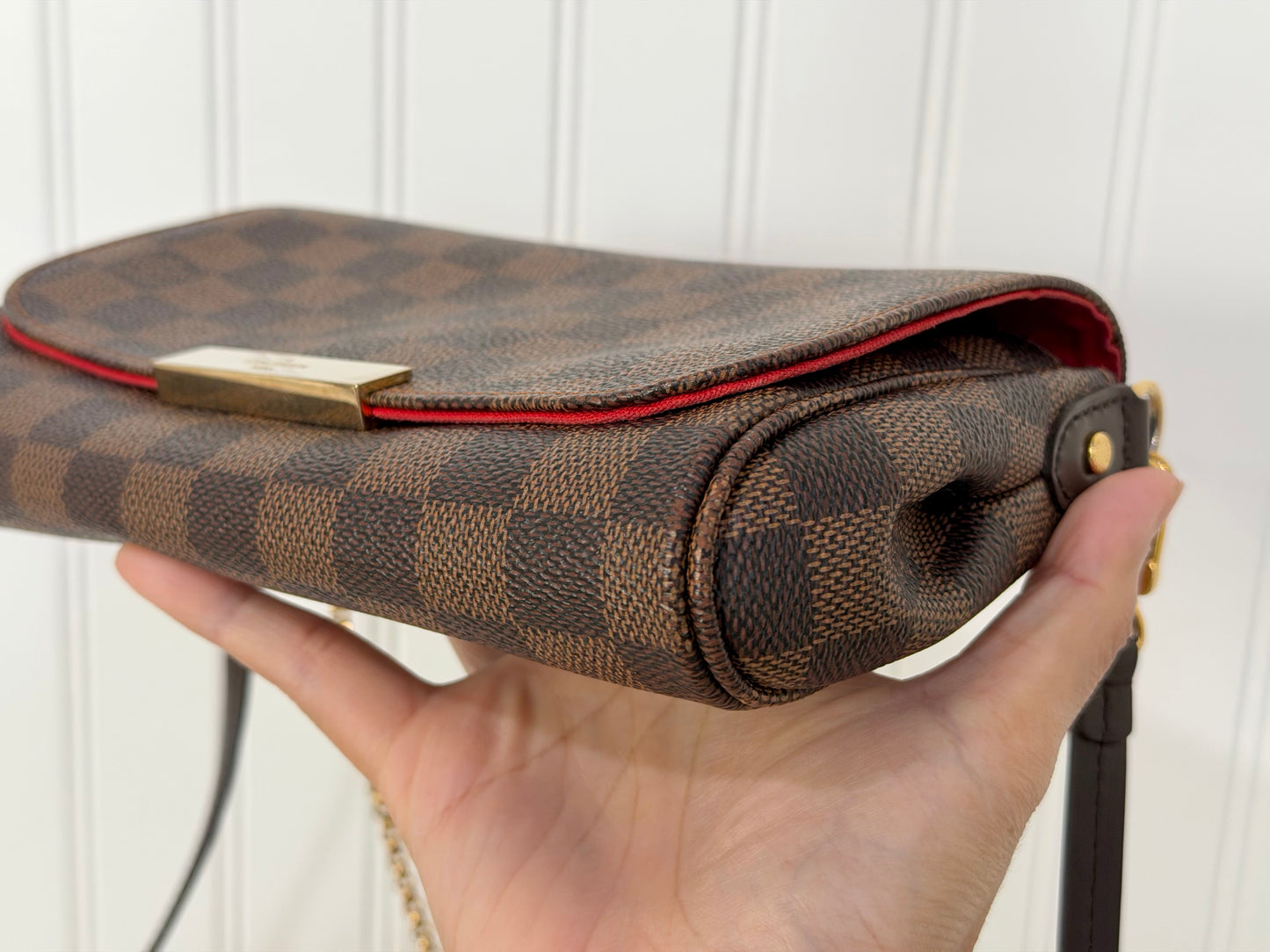 Louis Vuitton Favorite PM Damier Ebene