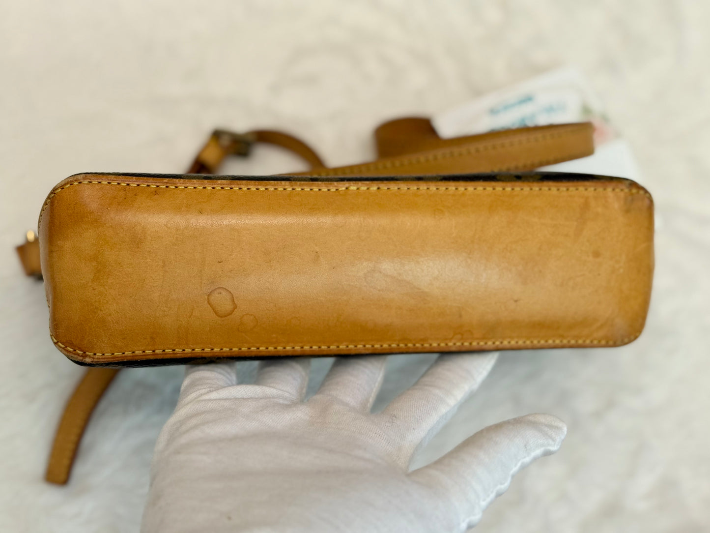Louis Vuitton Trotteur Mono