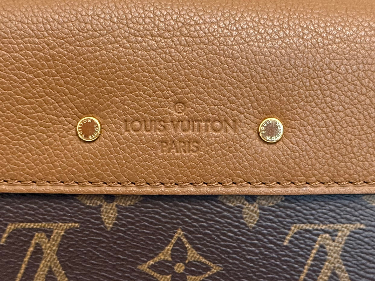 Louis Vuitton Pallas Chain Mono with Havane Leather