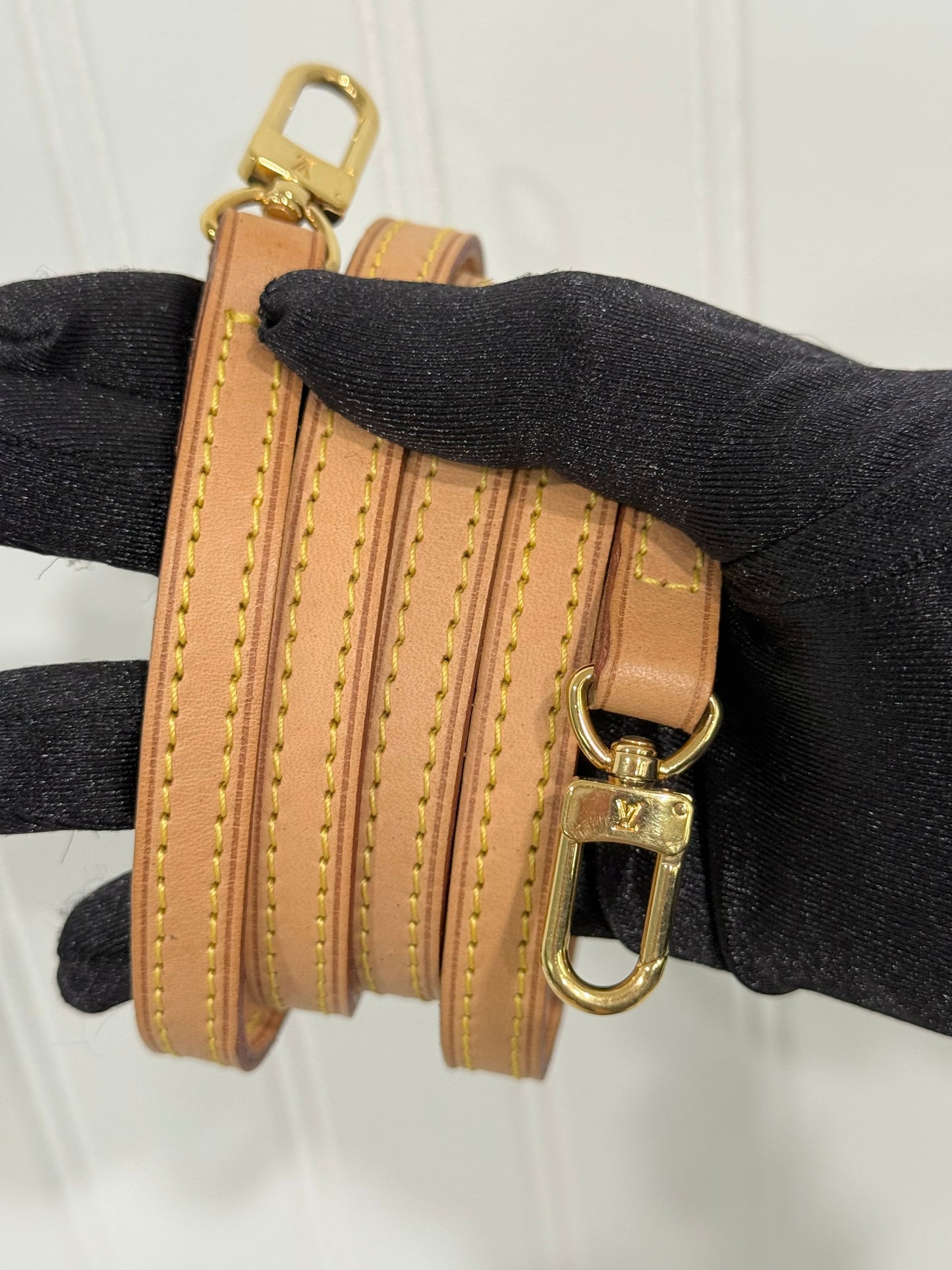 Louis Vuitton Twin Pochette GM Mono