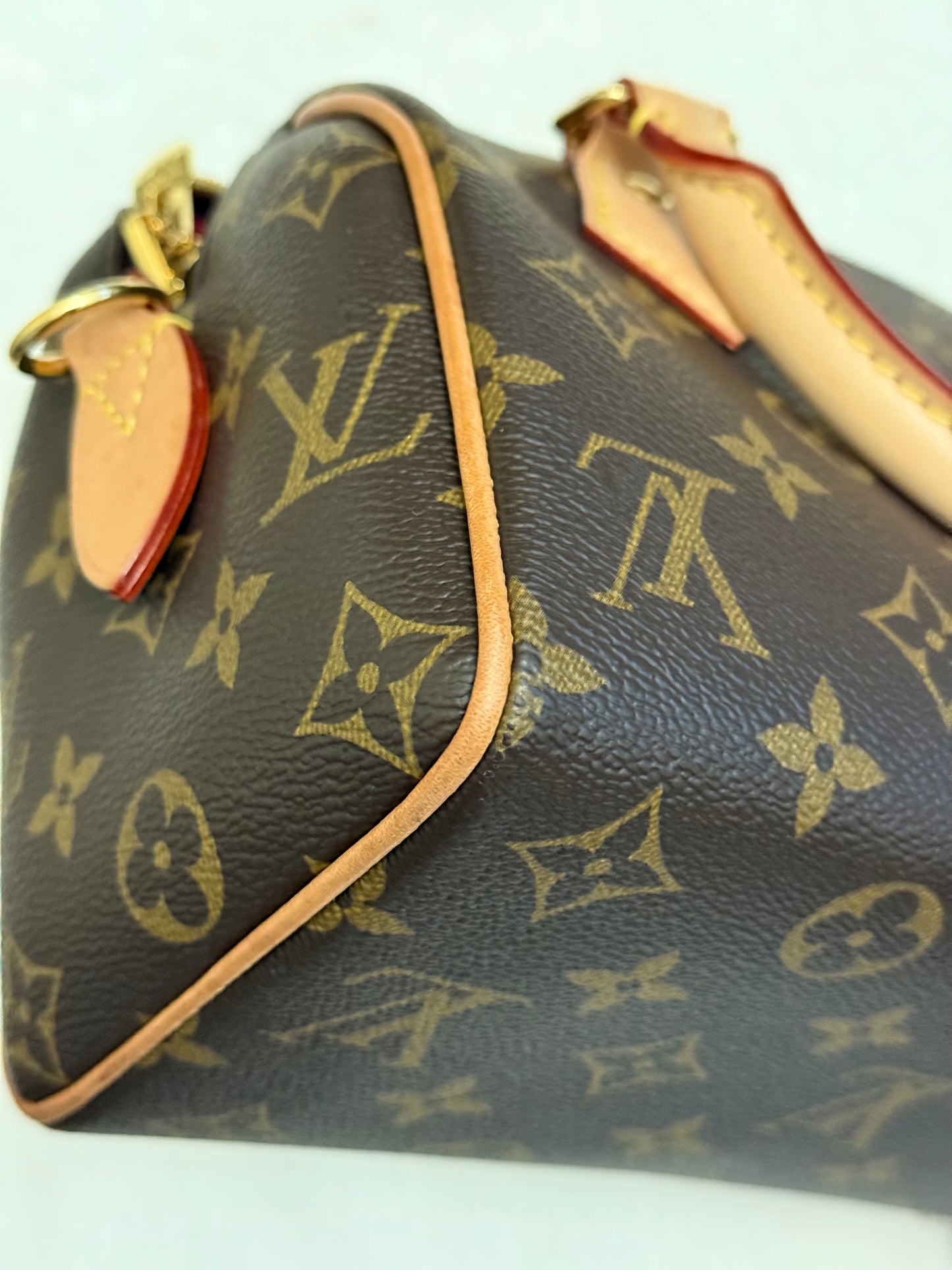 Louis Vuitton Speedy 20 Mono Bag Only