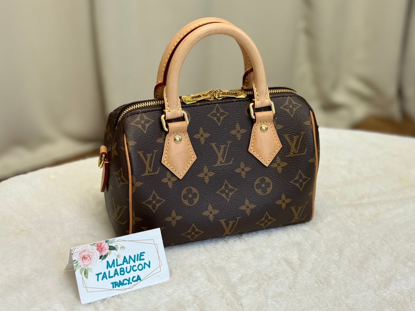 Louis Vuitton Speedy 20 Mono Bag Only